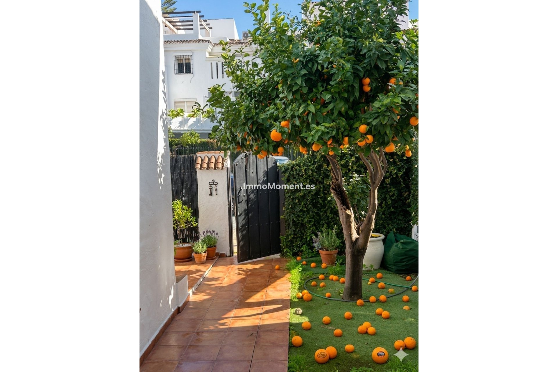 Wiederverkauf - Reihenhaus - Marbella - Nueva Andalucía