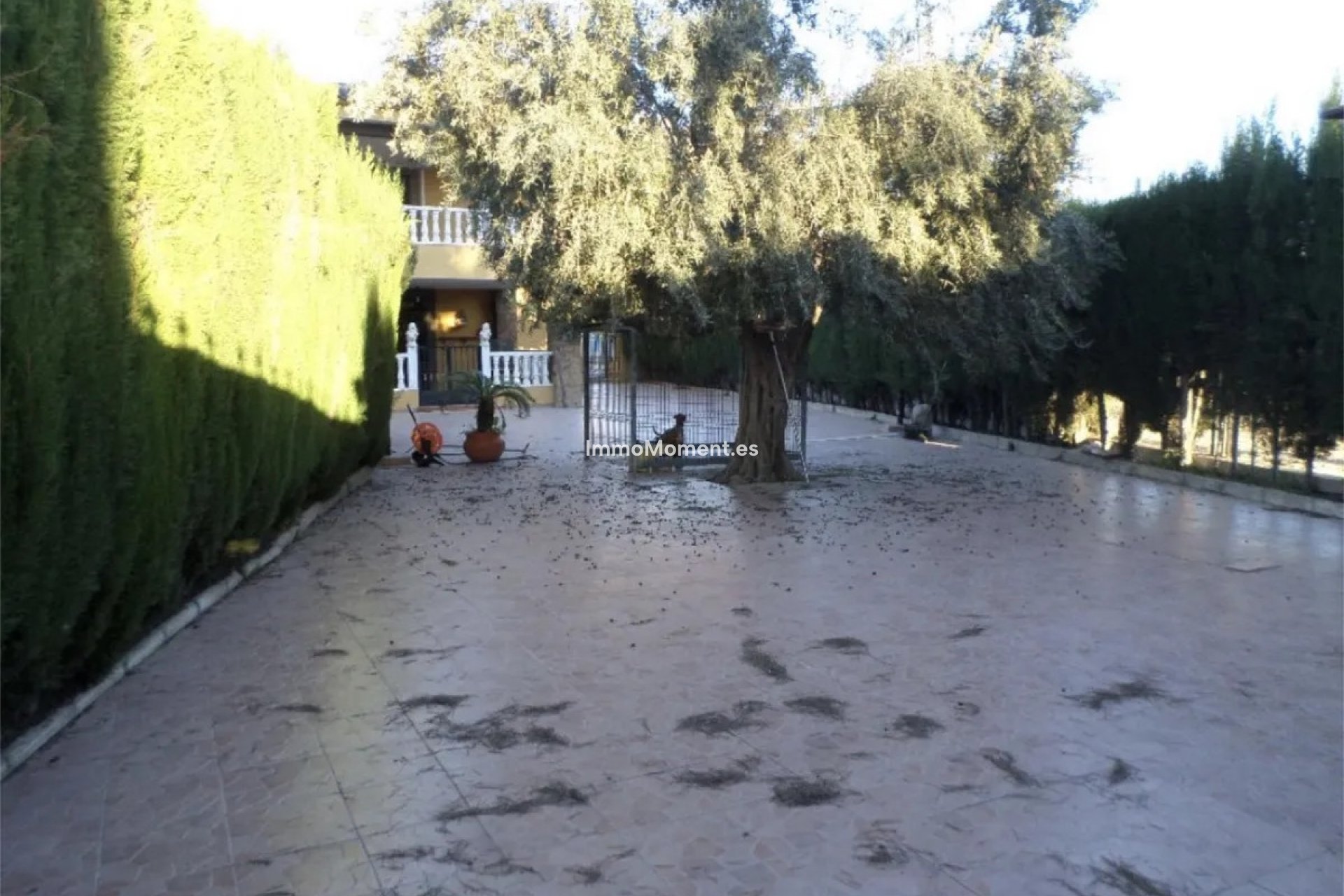 Wiederverkauf - Reihenhaus - Orihuela - Orihuela Centro