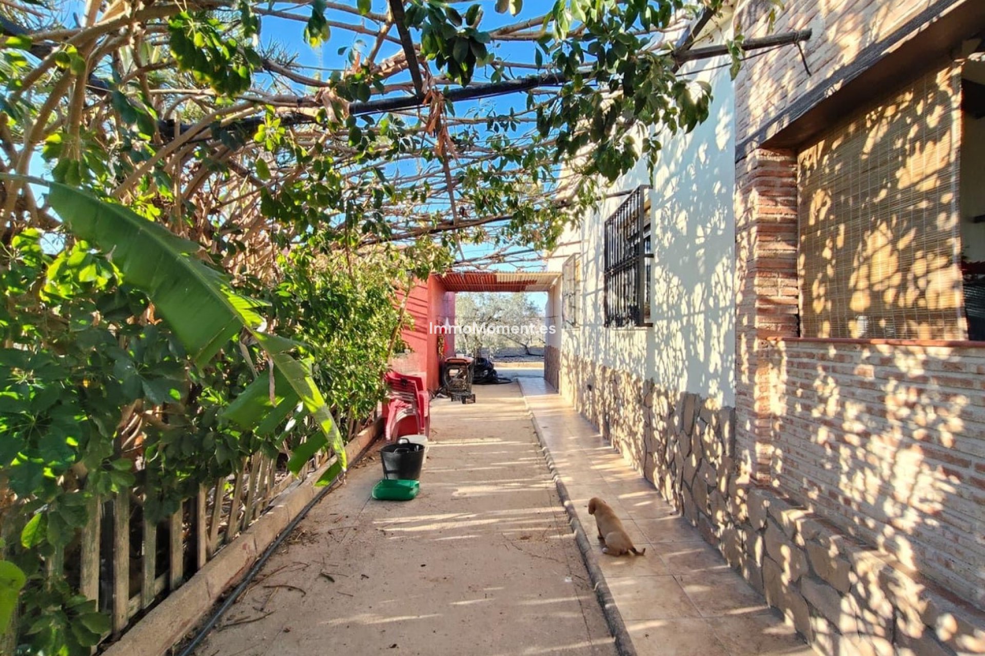 Wiederverkauf - Villa - Elche - Las Bayas