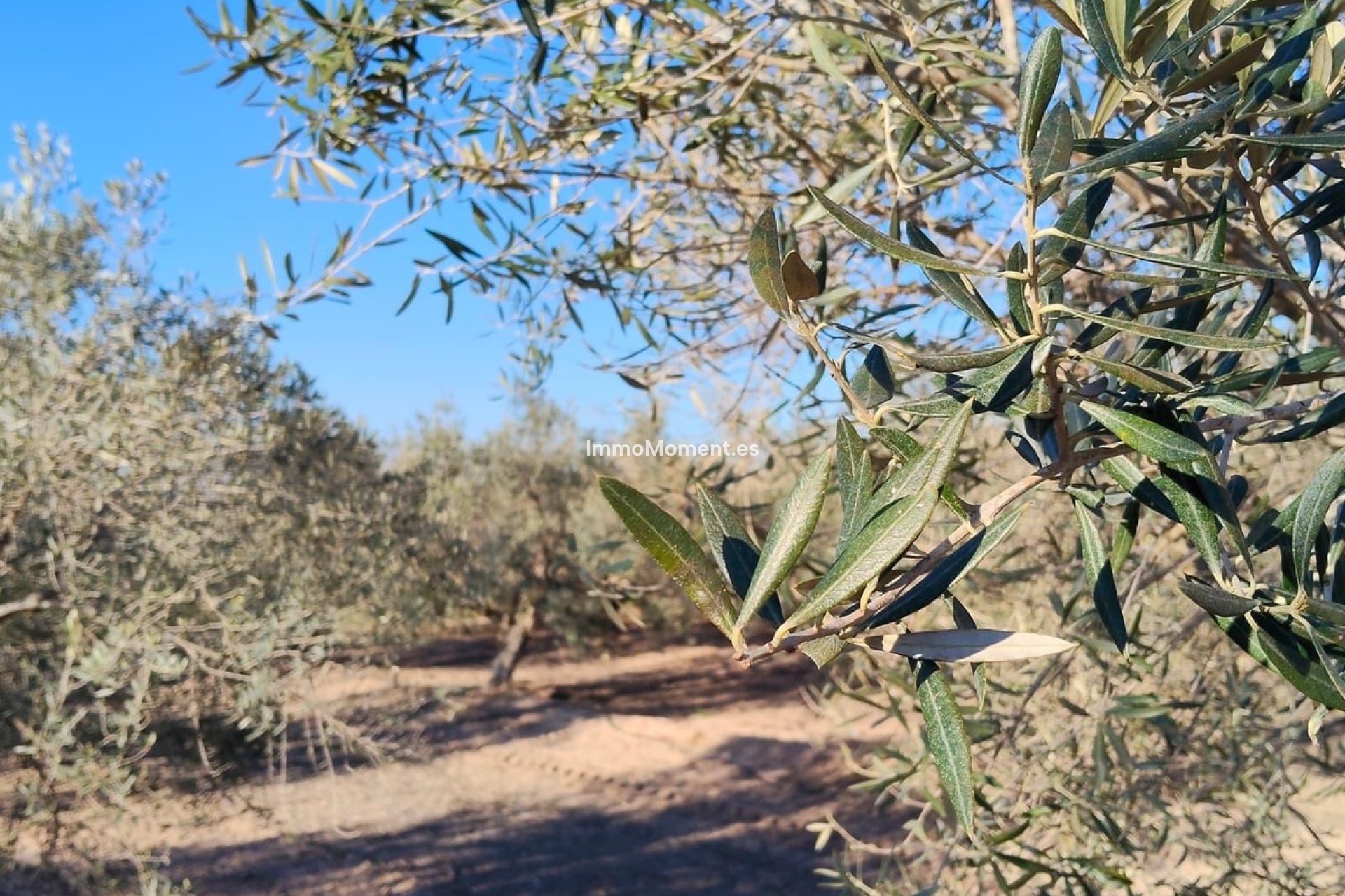 Wiederverkauf - Villa - Elche - Las Bayas