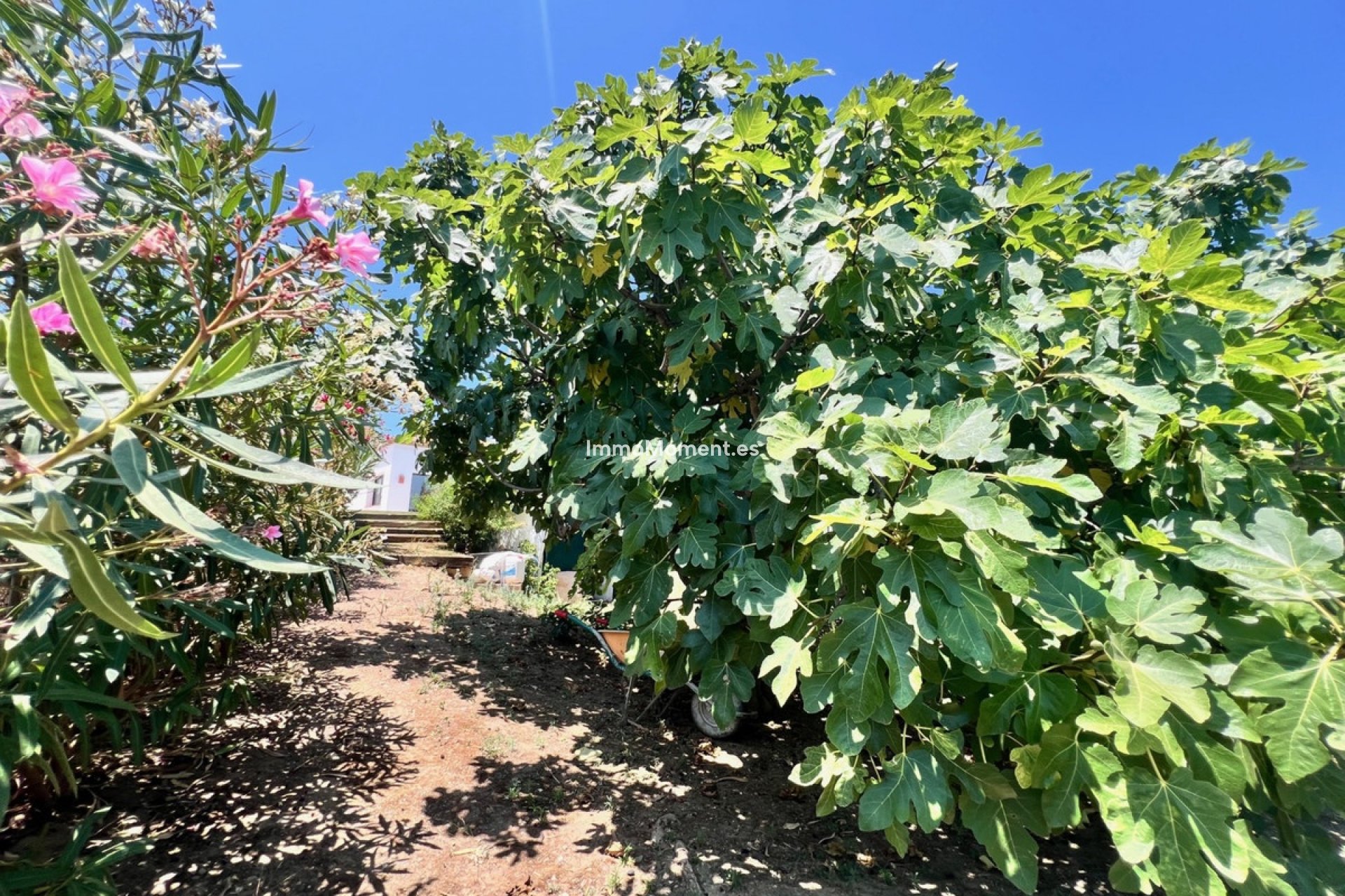 Wiederverkauf - Villa - Estepona  - New Golden Mile