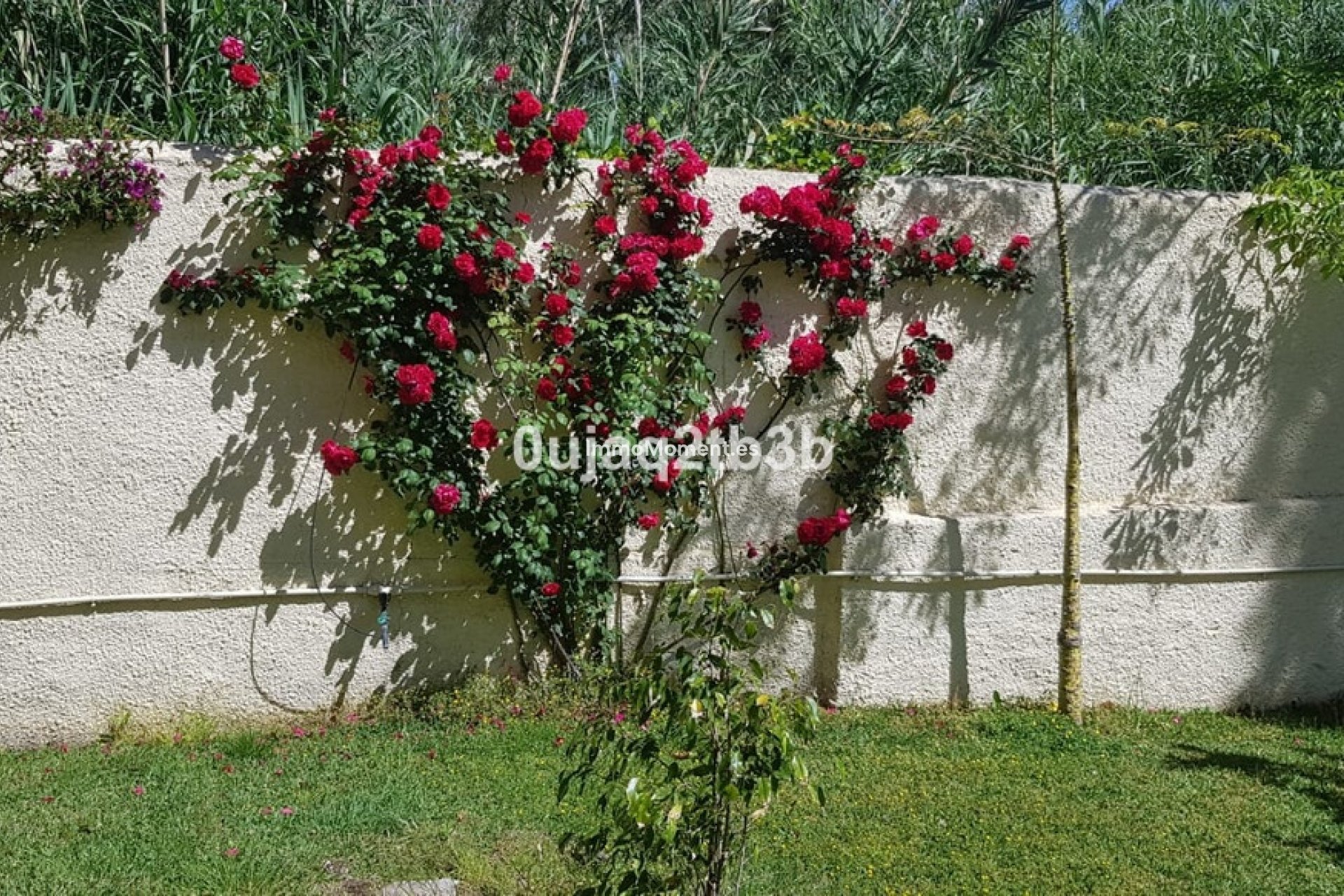 Wiederverkauf - Villa - Estepona  - New Golden Mile