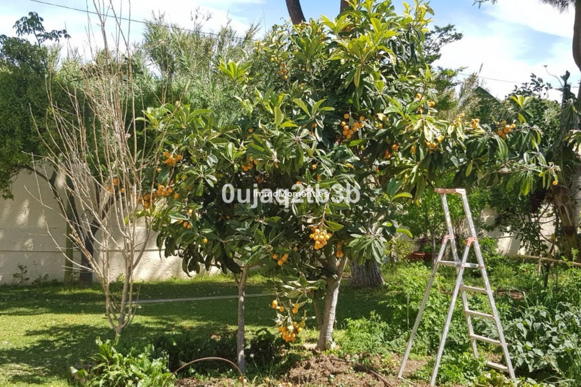 Wiederverkauf - Villa - Estepona  - New Golden Mile