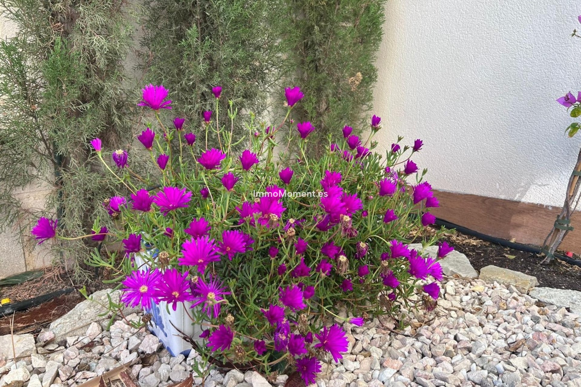 Wiederverkauf - Villa - Finestrat