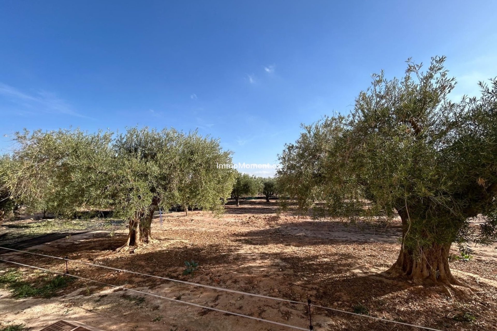 Wiederverkauf - Villa - Fuente Alamo - Fuente Álamo de Murcia