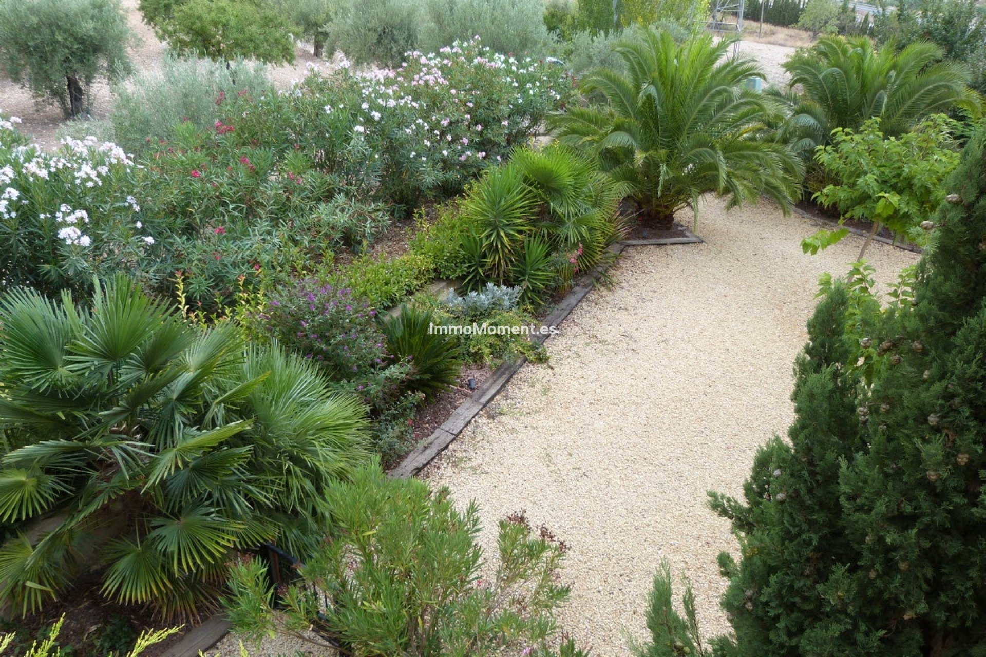 Wiederverkauf - Villa - Ibi - Ibi Centro