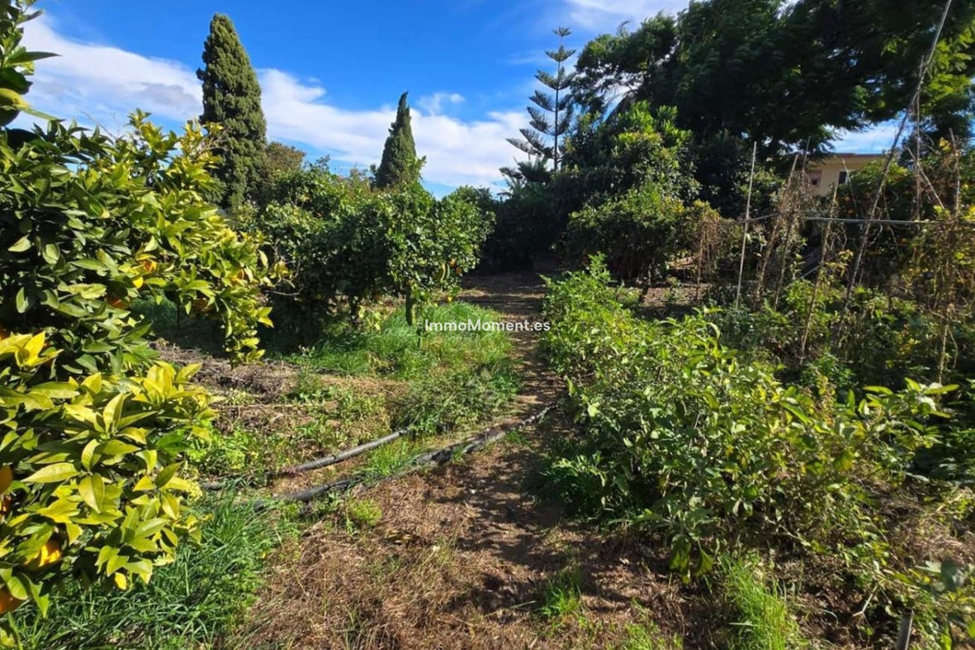 Wiederverkauf - Villa -   Inländisch - Alhaurín de la Torre