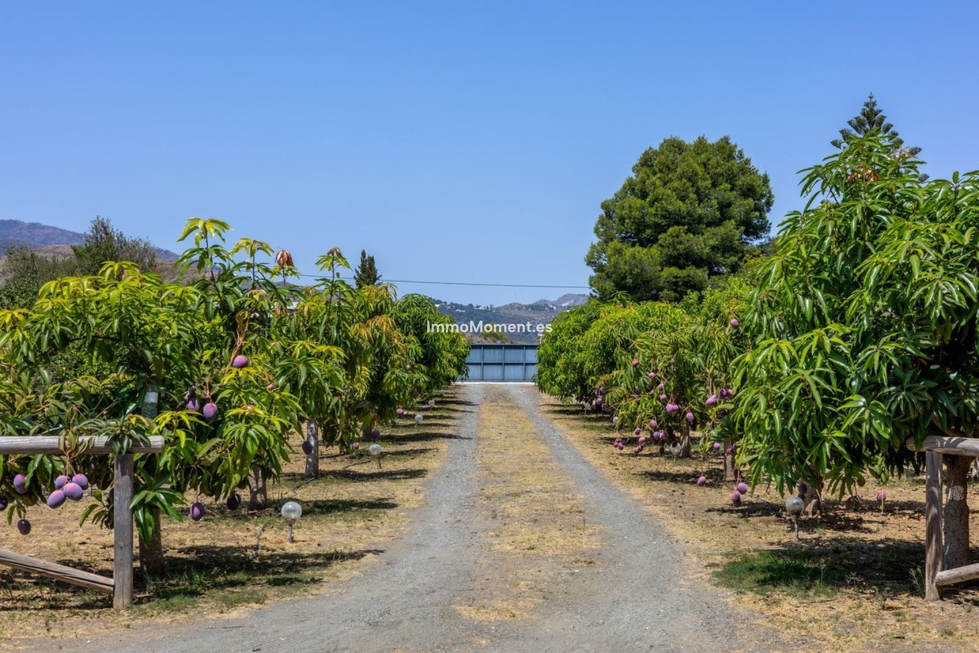 Wiederverkauf - Villa -   Inländisch - Alhaurín el Grande Centro