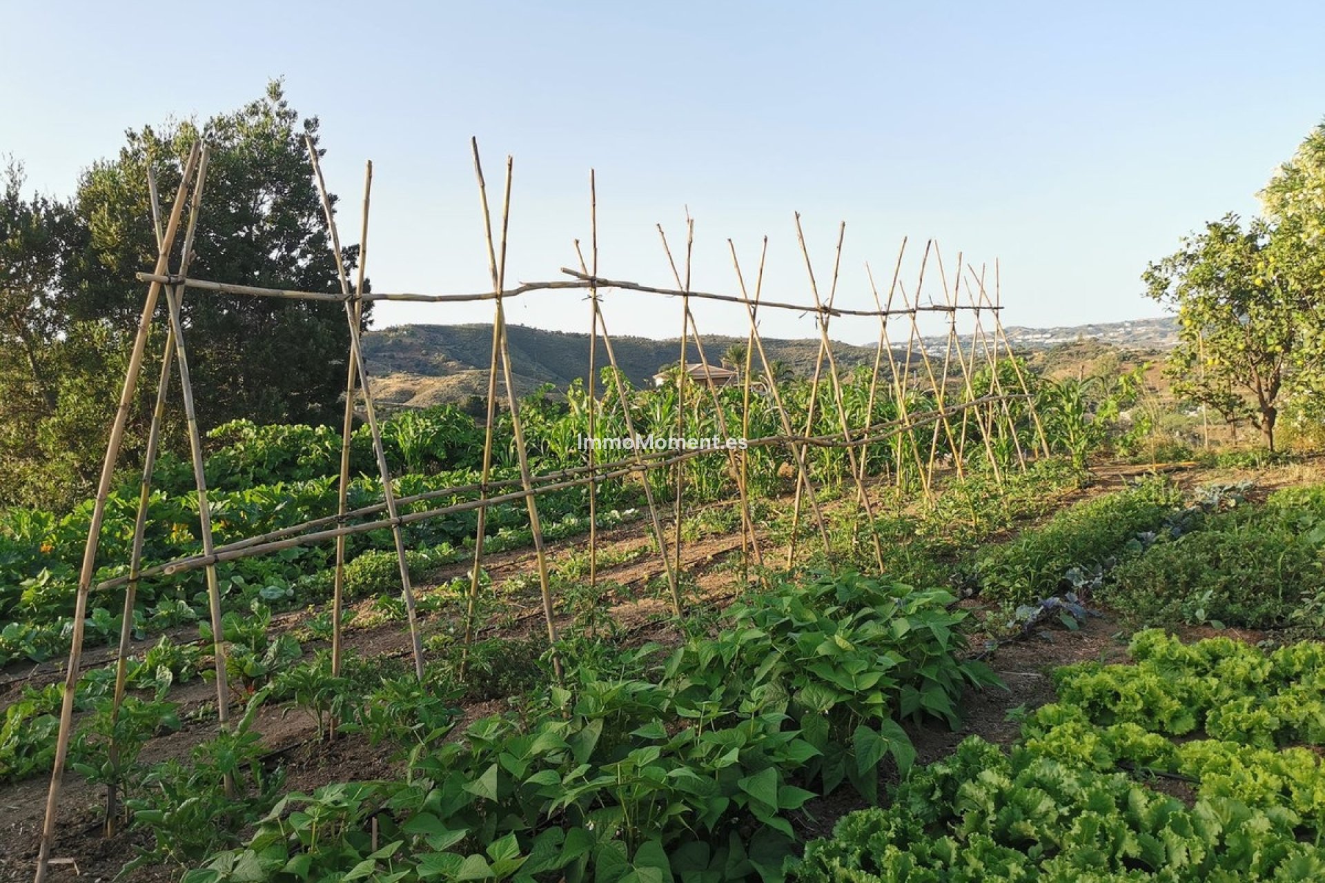 Wiederverkauf - Villa -   Inländisch - Alhaurín el Grande Centro