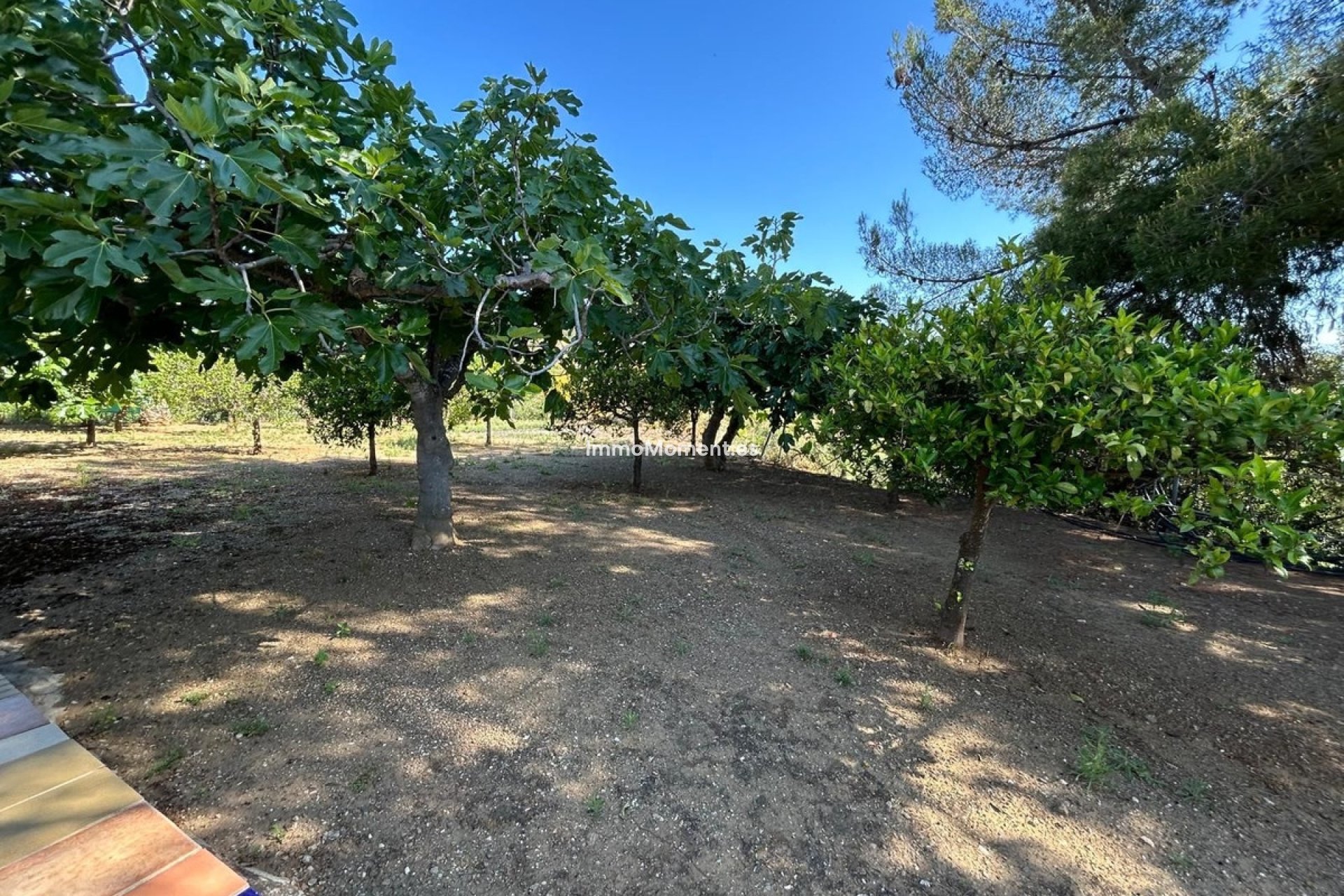 Wiederverkauf - Villa -   Inländisch - Alora