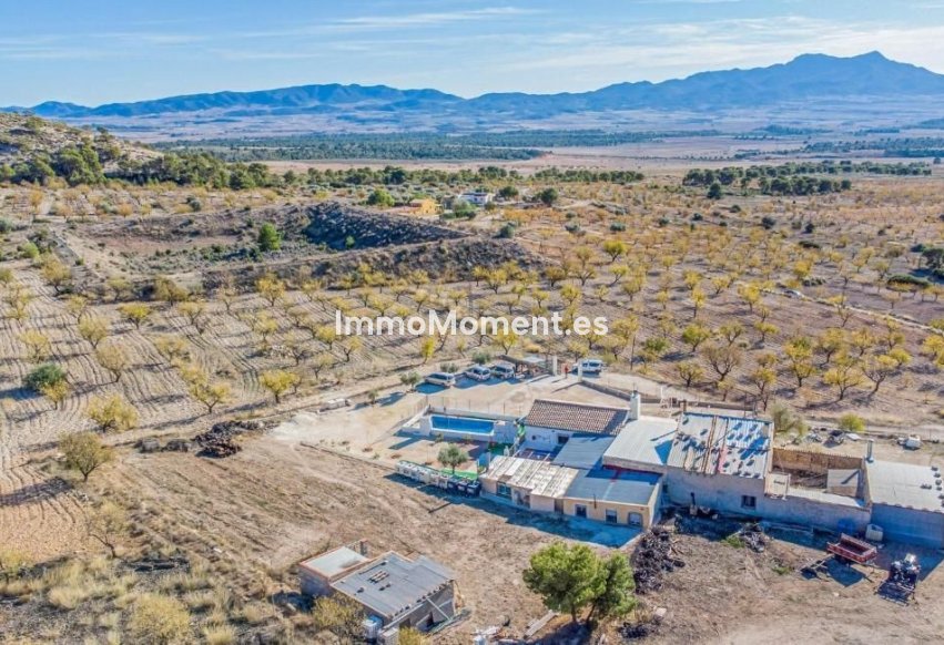 Wiederverkauf - Villa - Jumilla - Jumilla Centro