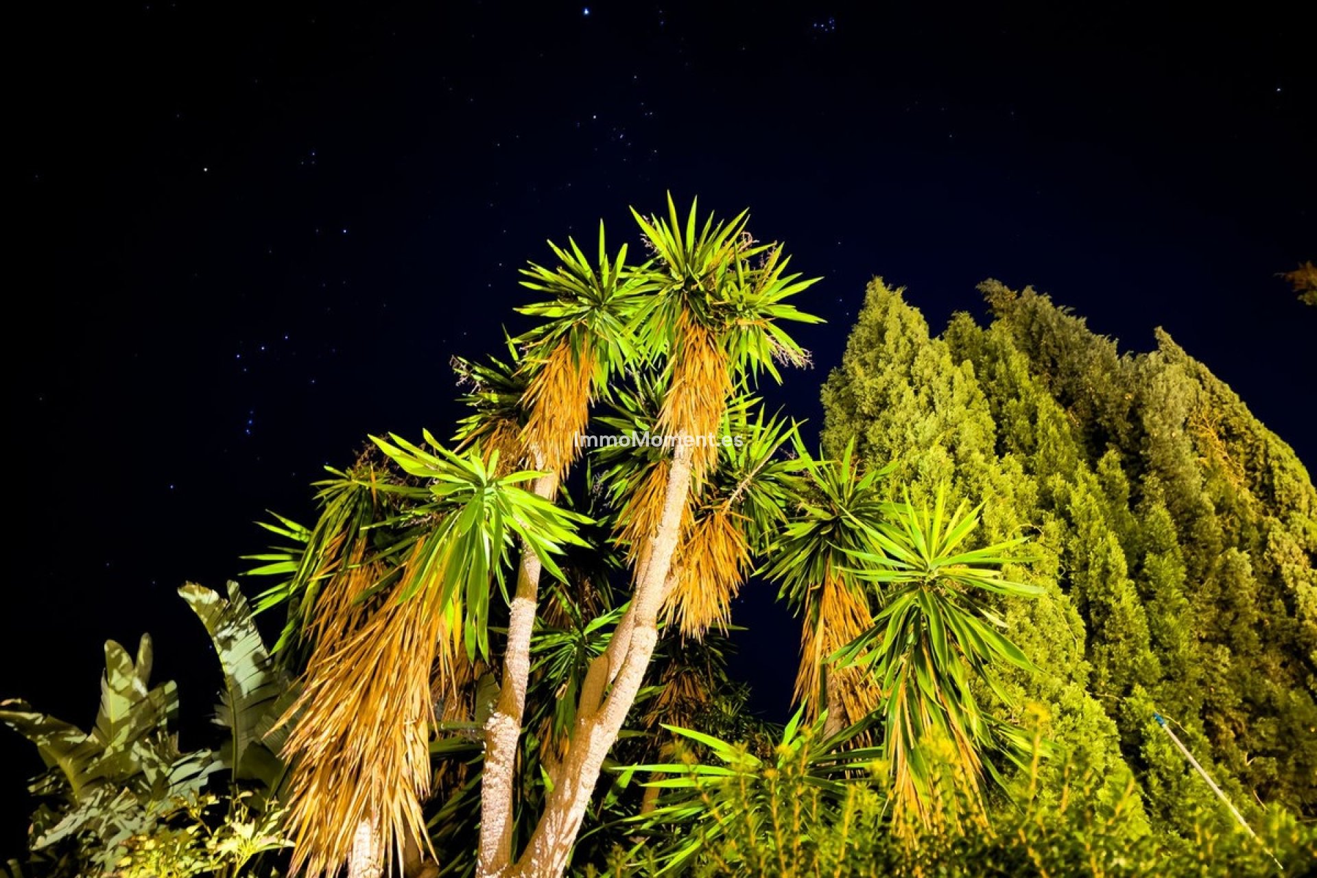 Wiederverkauf - Villa - Marbella - El Rosario