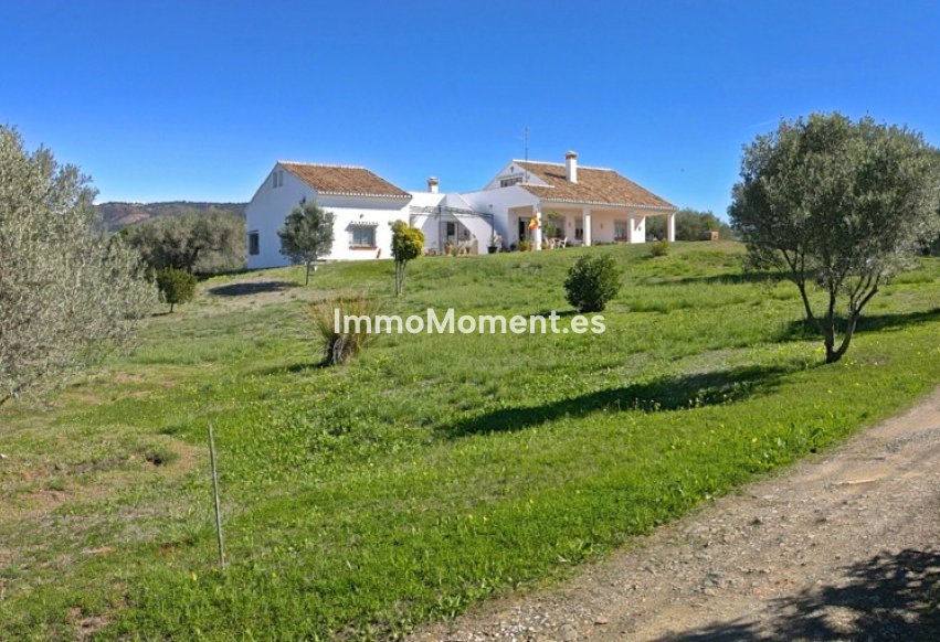 Wiederverkauf - Villa - Marbella - Elviria