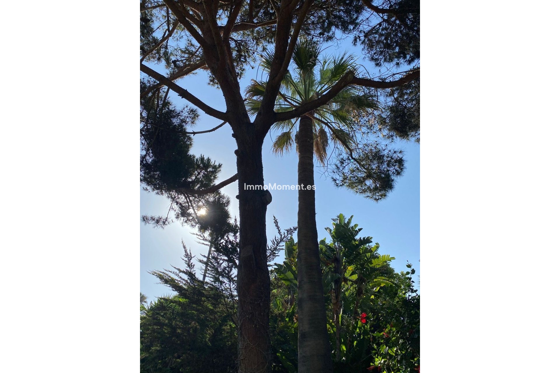 Wiederverkauf - Villa - Marbella - Guadalmina Baja