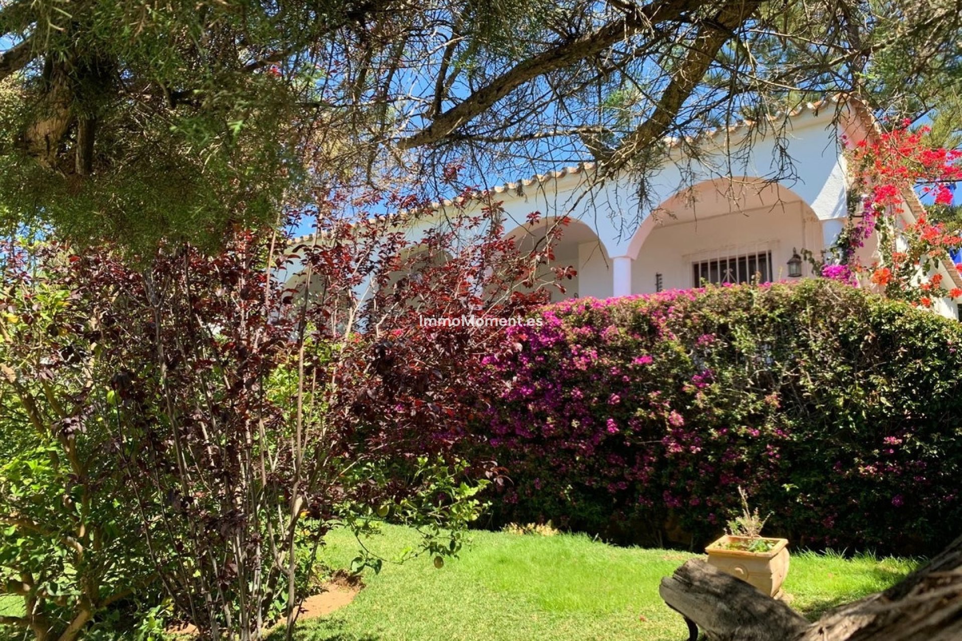 Wiederverkauf - Villa - Marbella - Marbesa