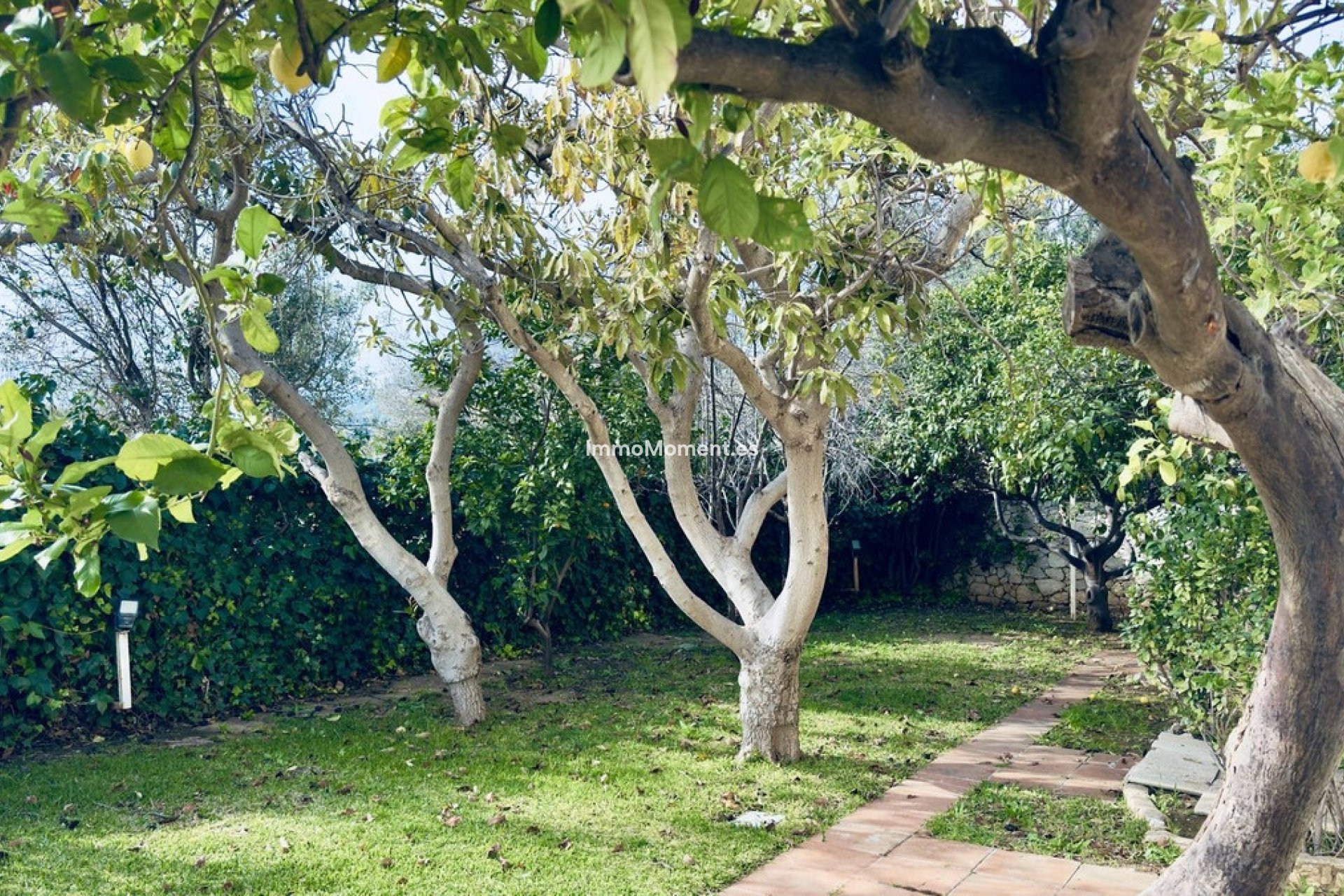 Wiederverkauf - Villa - Mijas - Mijas Centro