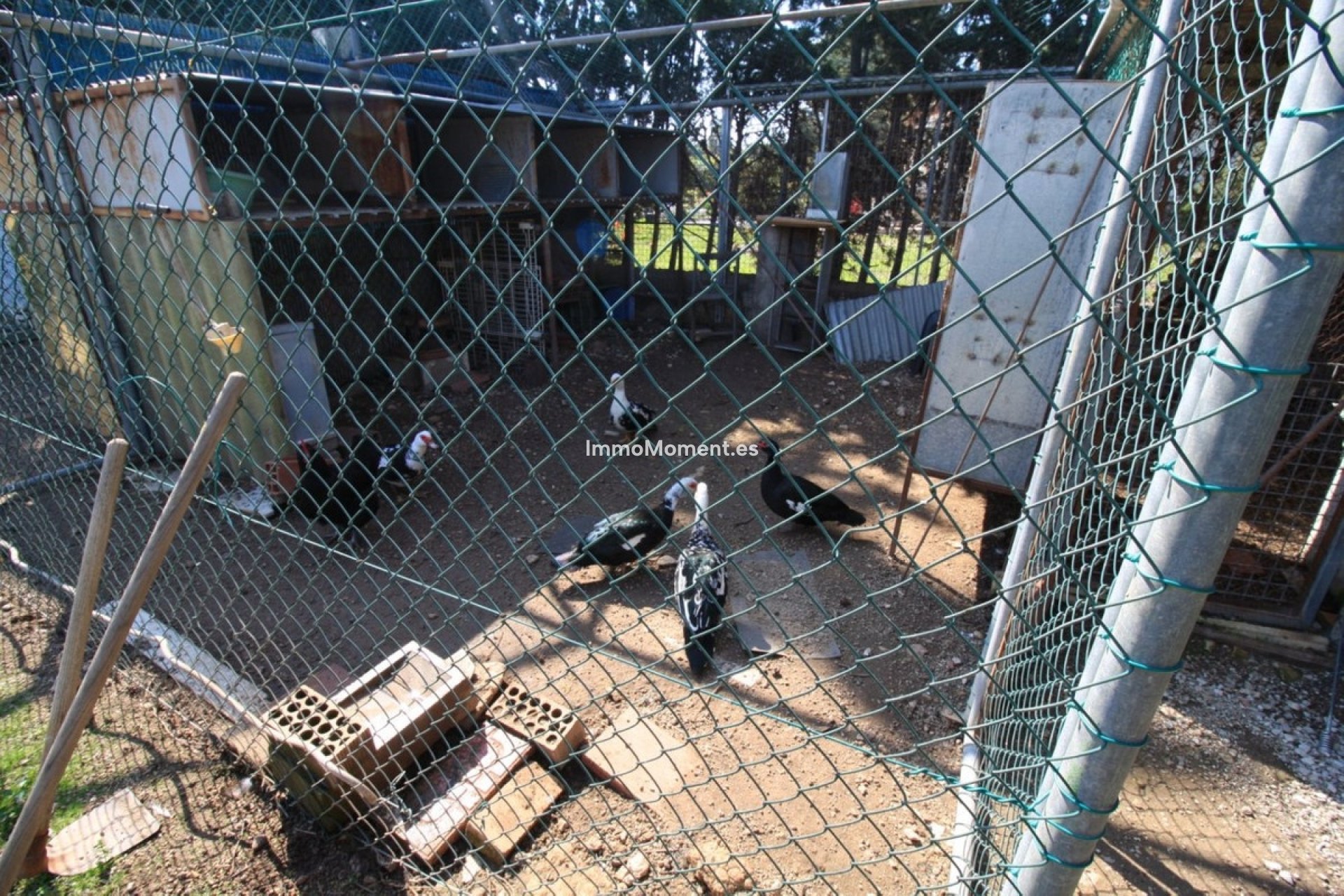 Wiederverkauf - Villa - Orihuela - Orihuela Costa