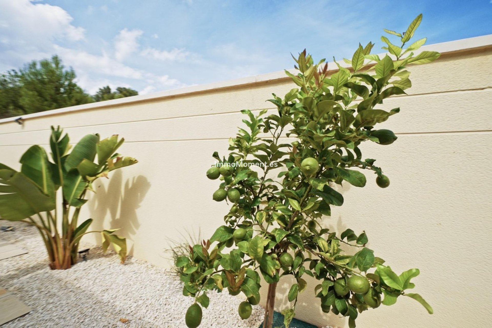 Wiederverkauf - Villa - Polop - Polop Centro