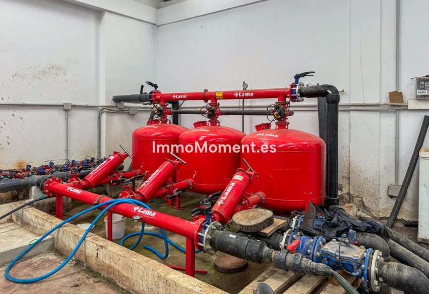 Wiederverkauf - Villa - Sotogrande