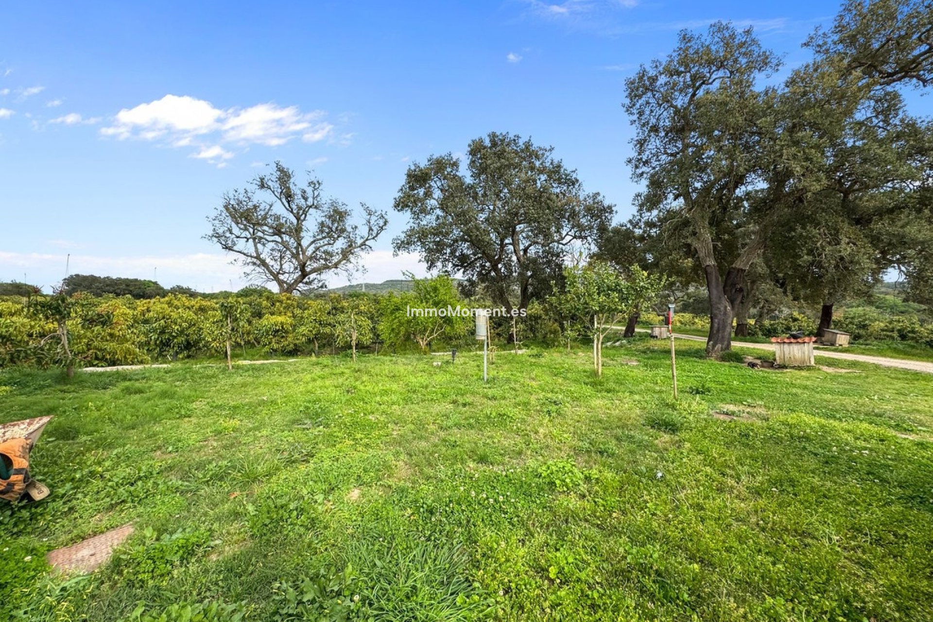 Wiederverkauf - Villa - Sotogrande