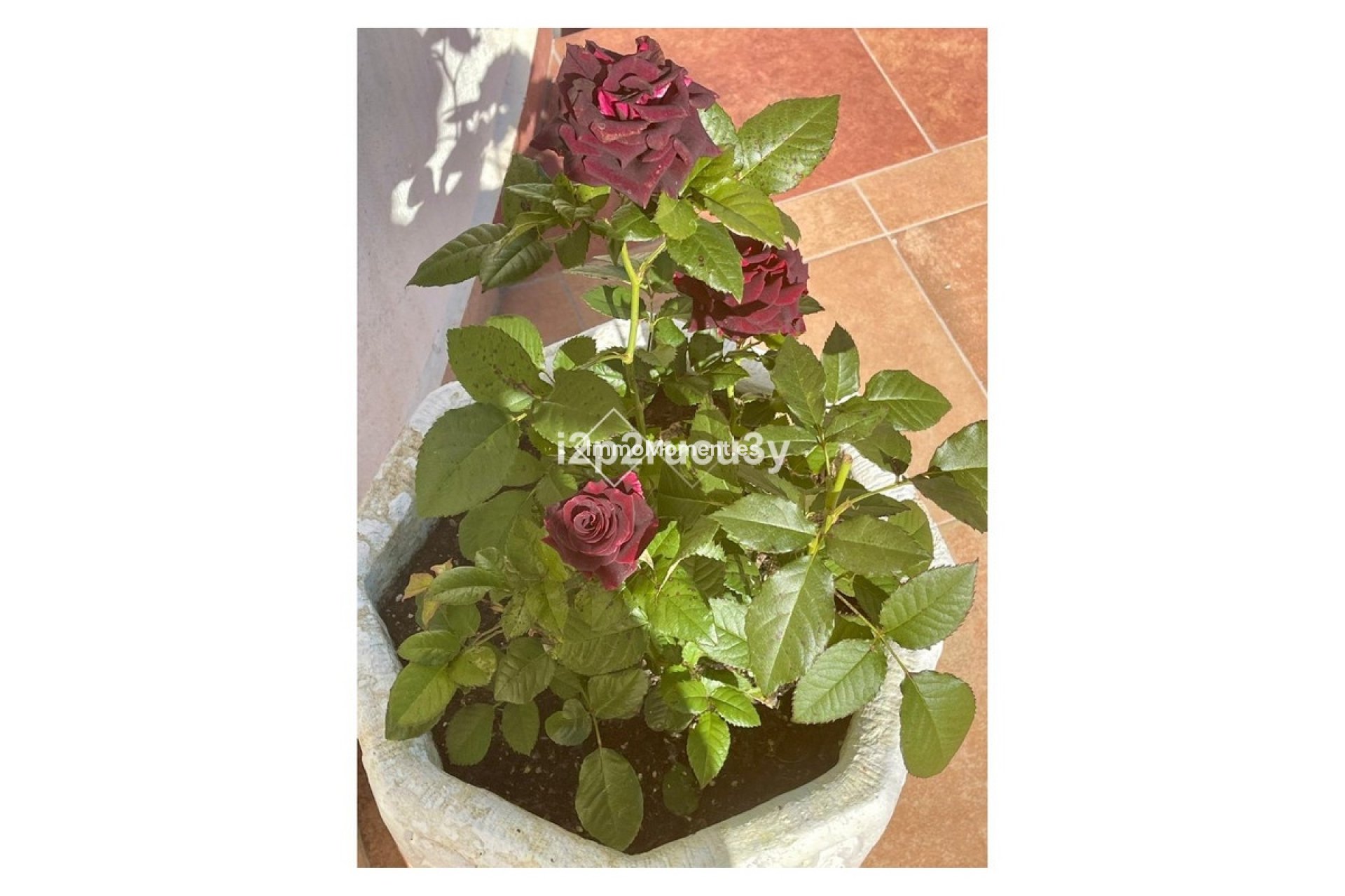 Wiederverkauf - Villa - Teulada - Moraira