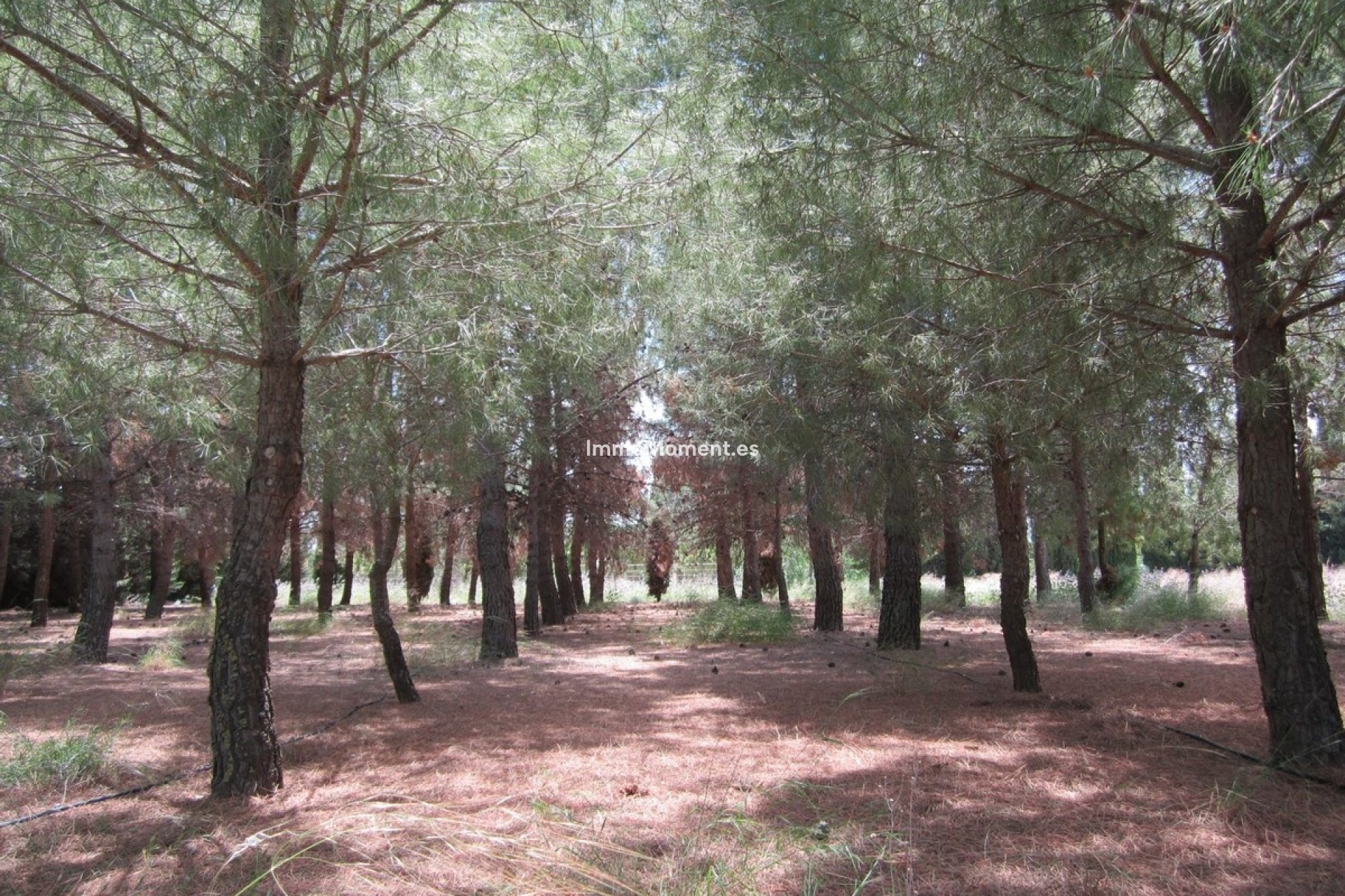 Wiederverkauf - Villa - Yecla - Yecla Centro