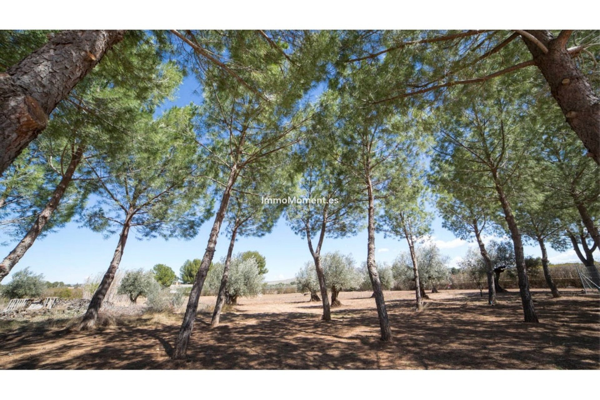 Wiederverkauf - Villa - Yecla - Yecla Centro