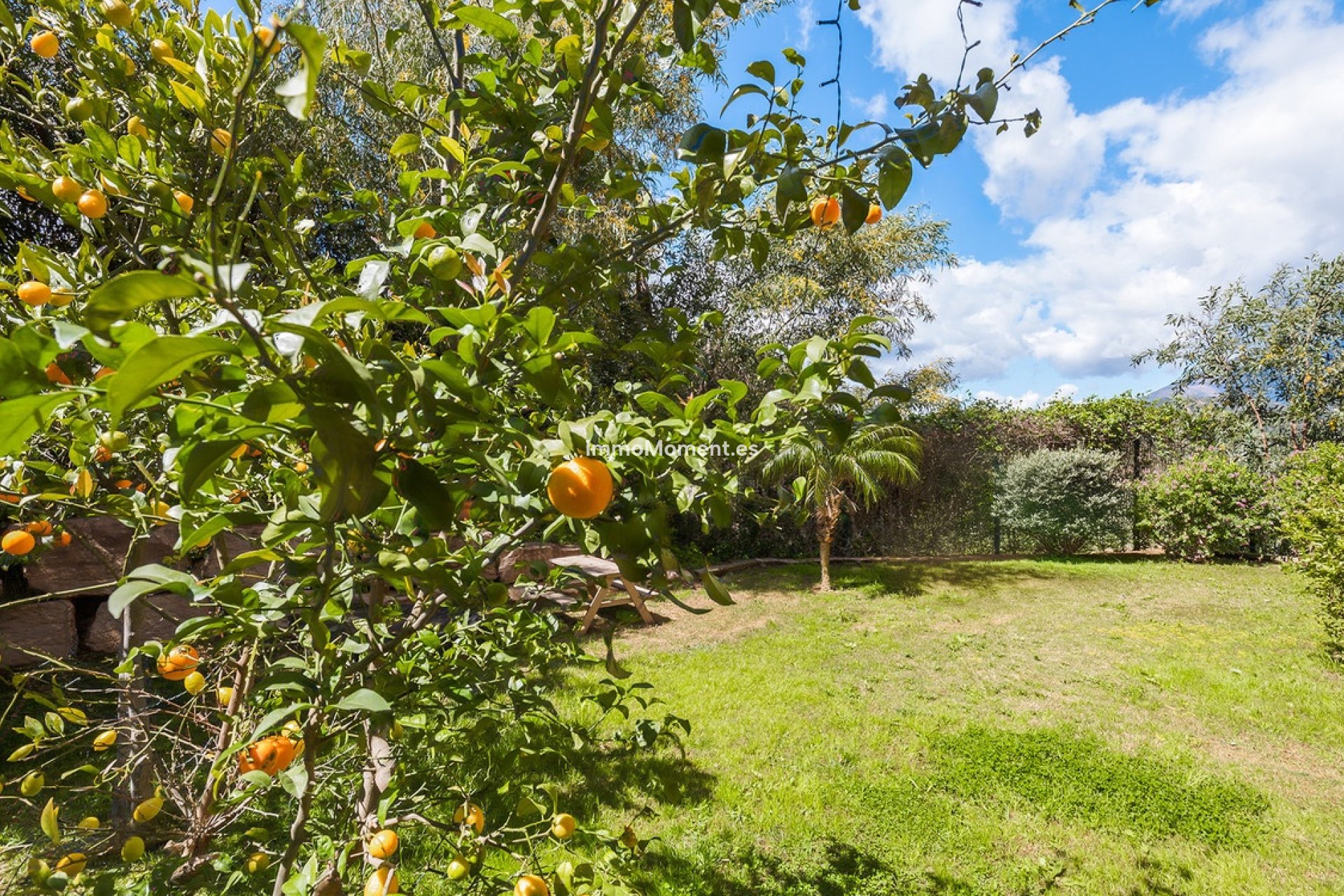 Wiederverkauf - Wohnung - Benahavís - Benahavís Centro