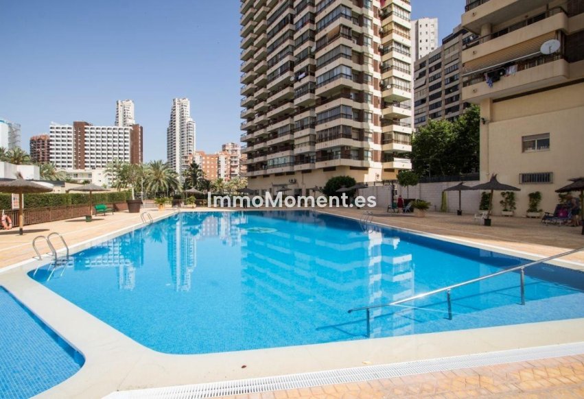 Wiederverkauf - Wohnung - Benidorm - Benidorm Centro