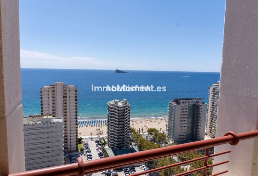 Wiederverkauf - Wohnung - Benidorm - Benidorm Centro