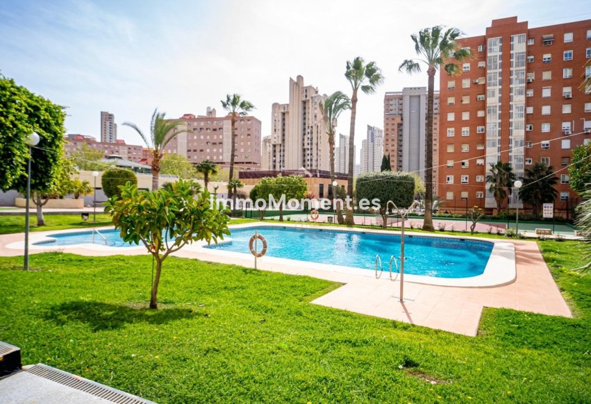 Wiederverkauf - Wohnung - Benidorm - Benidorm Centro