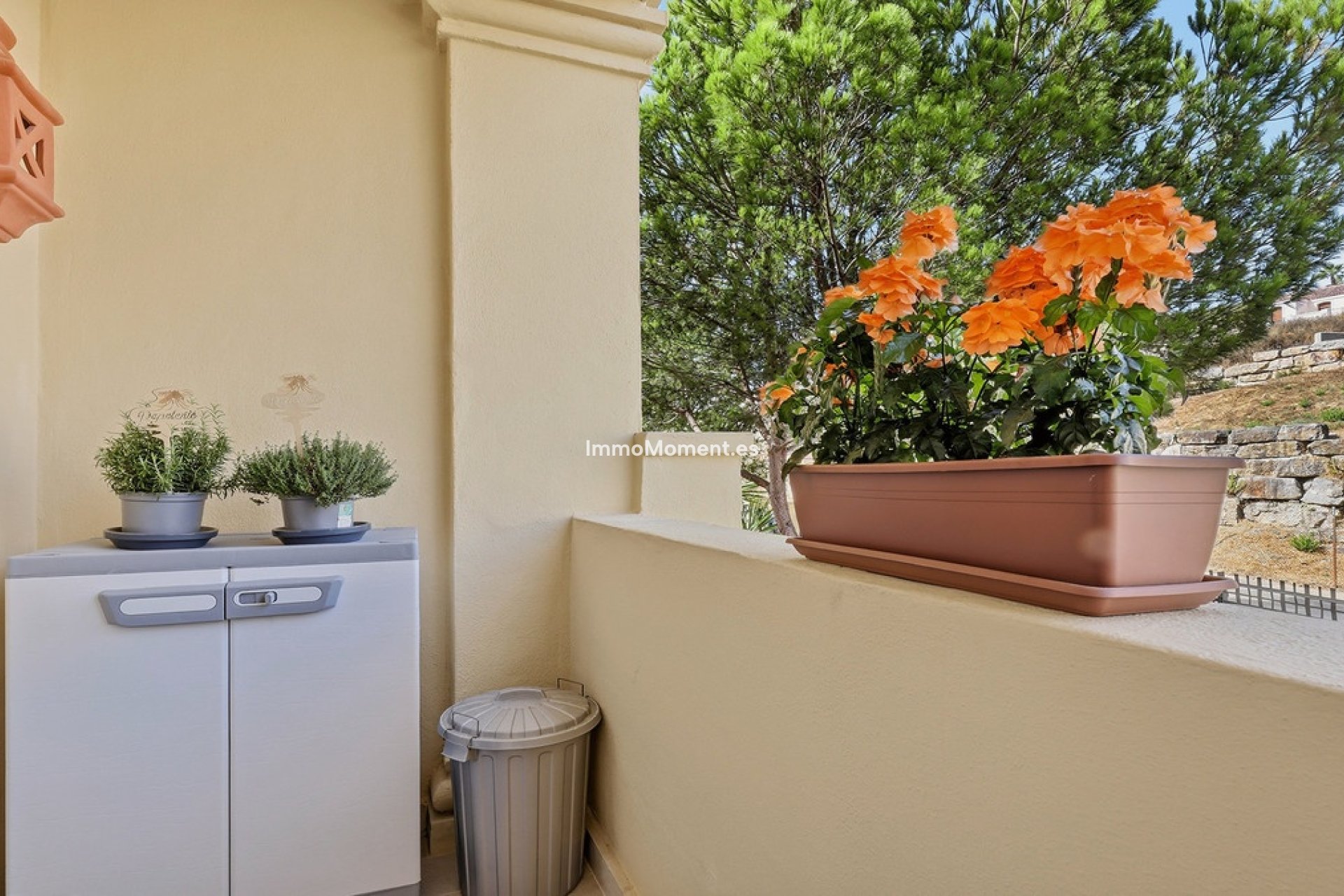 Wiederverkauf - Wohnung - Casares - Casares Centro