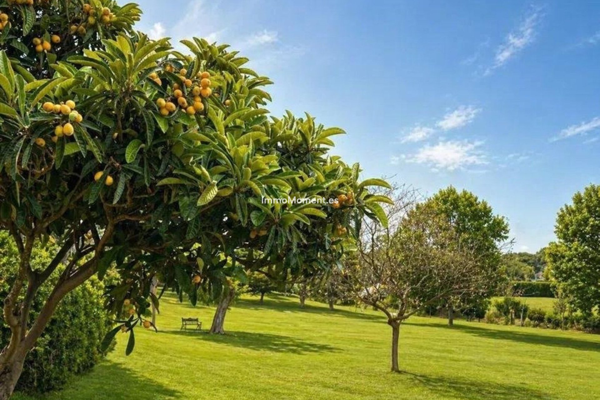 Wiederverkauf - Wohnung - Estepona  - Benamara