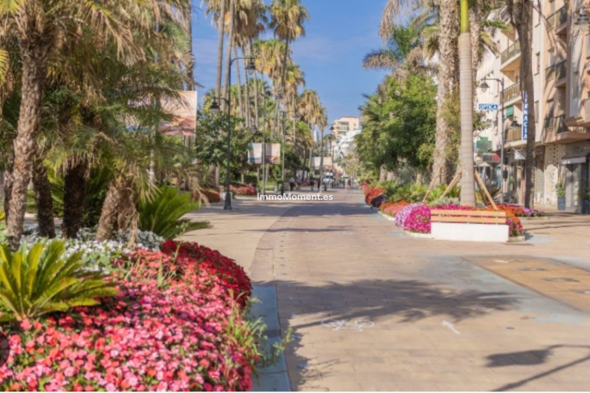 Wiederverkauf - Wohnung - Estepona  - Estepona Centro