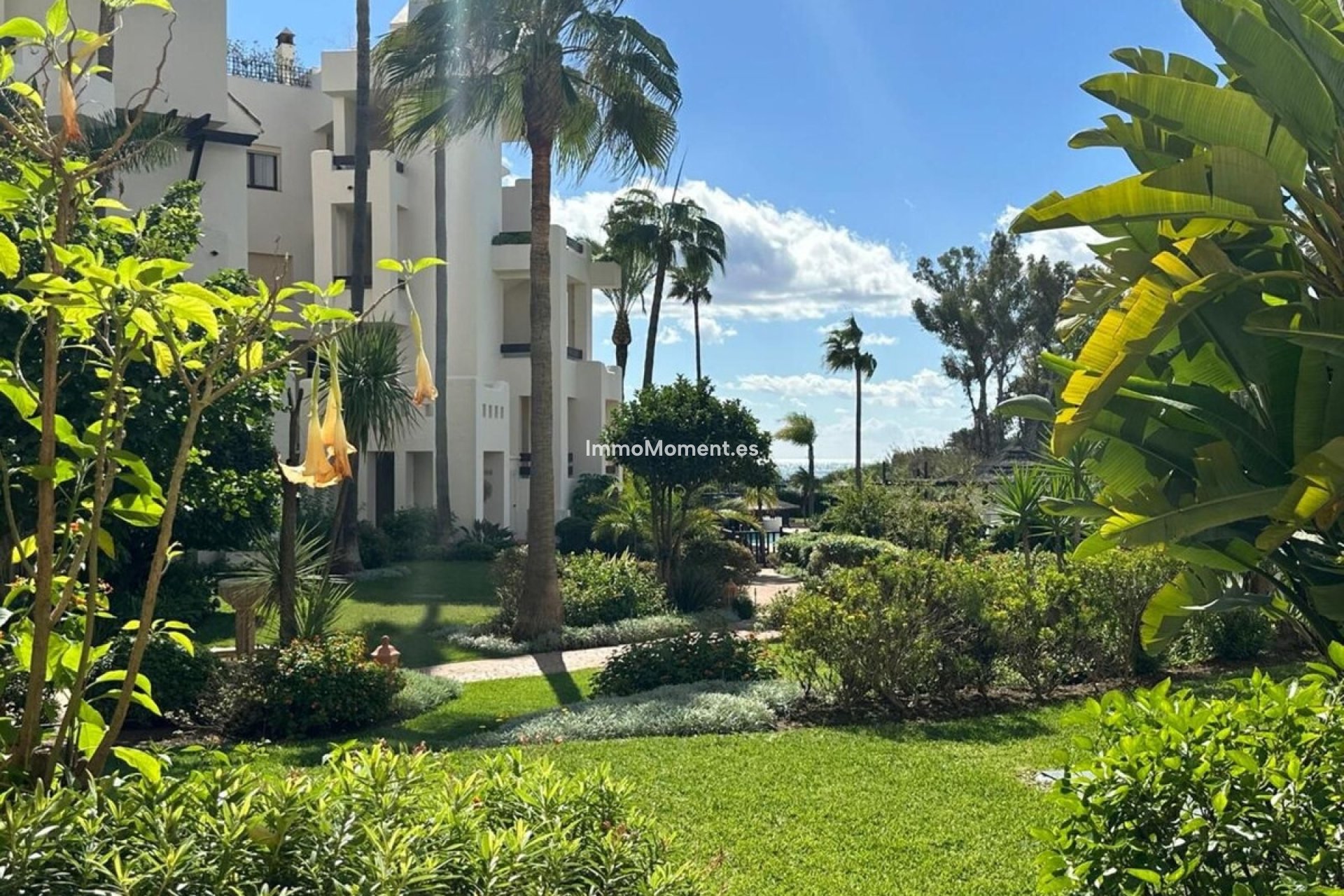 Wiederverkauf - Wohnung - Estepona  - Estepona Centro