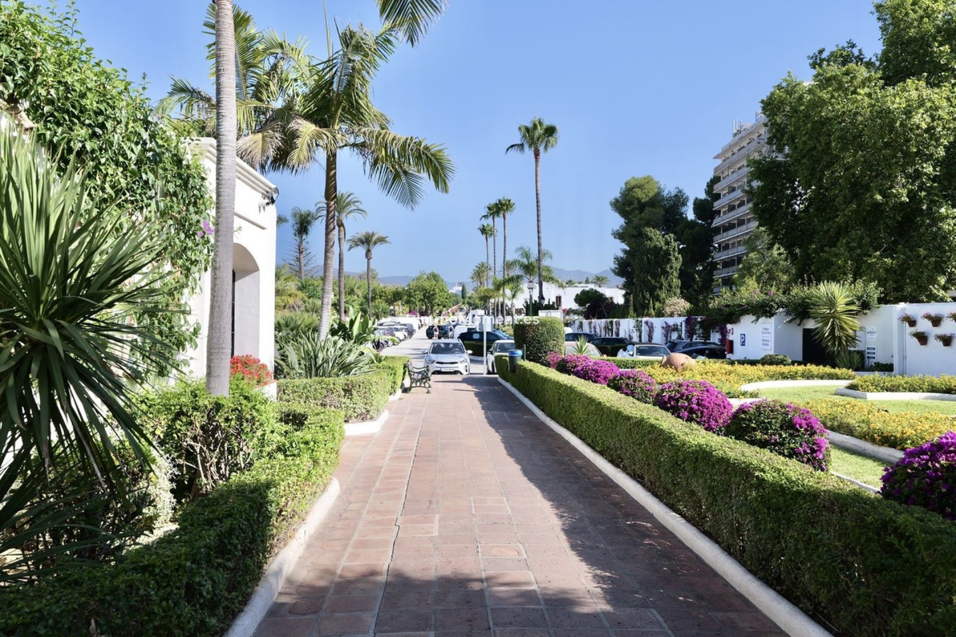 Wiederverkauf - Wohnung - Estepona  - Estepona Centro