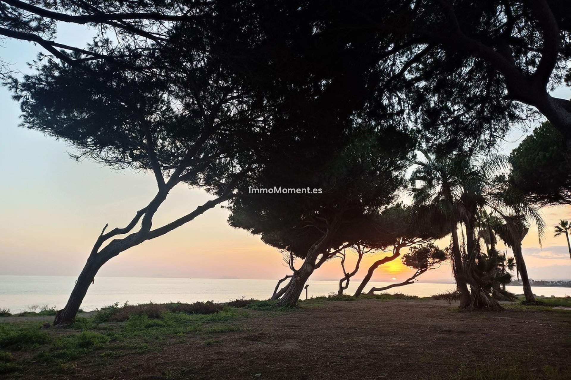 Wiederverkauf - Wohnung - Estepona  - New Golden Mile