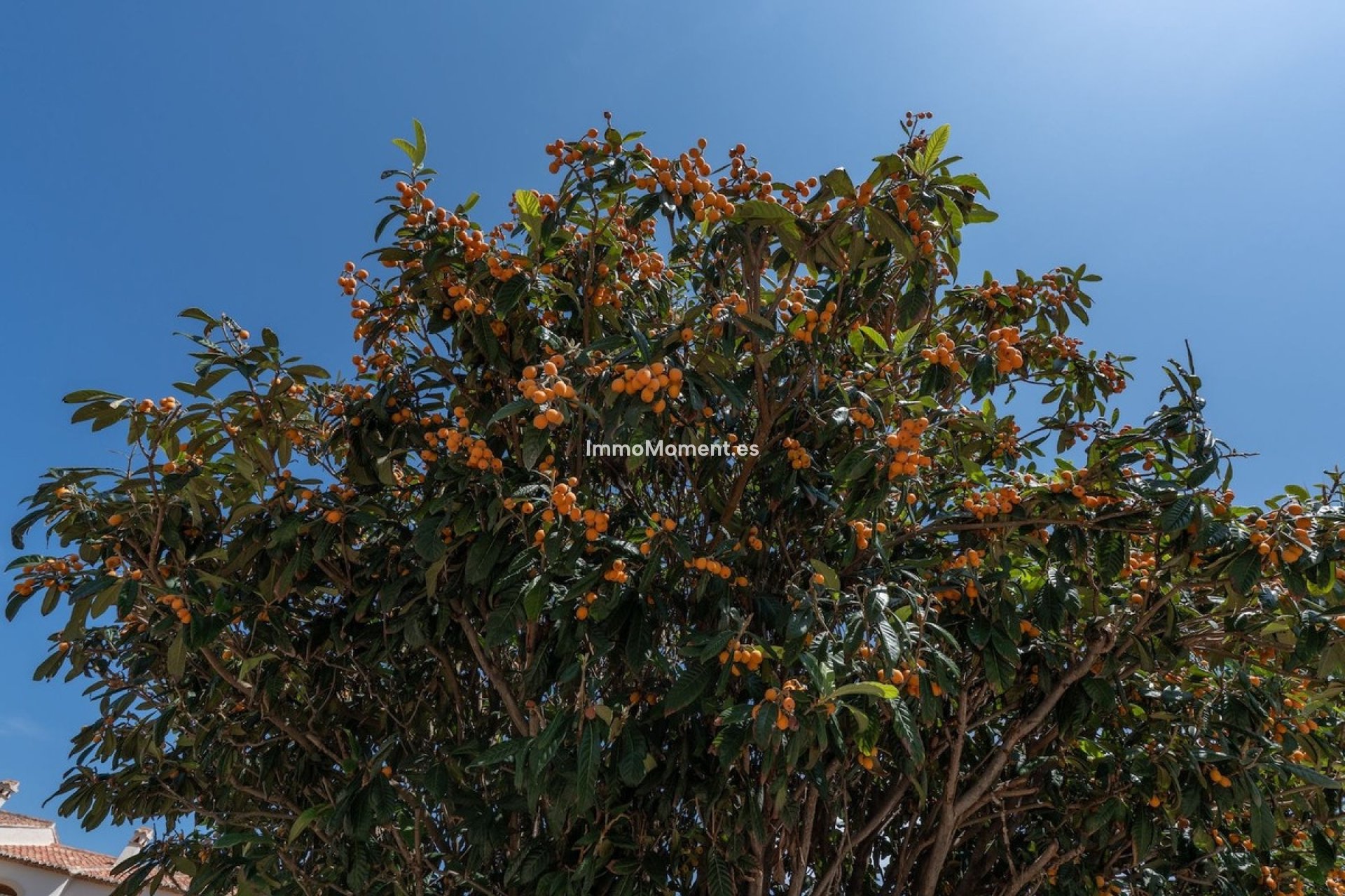 Wiederverkauf - Wohnung - Jávea - Jávea - Xàbia Centro