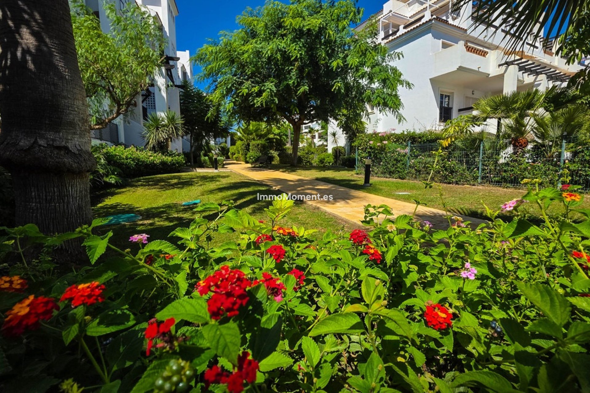 Wiederverkauf - Wohnung - Manilva - San Luis de Sabinillas