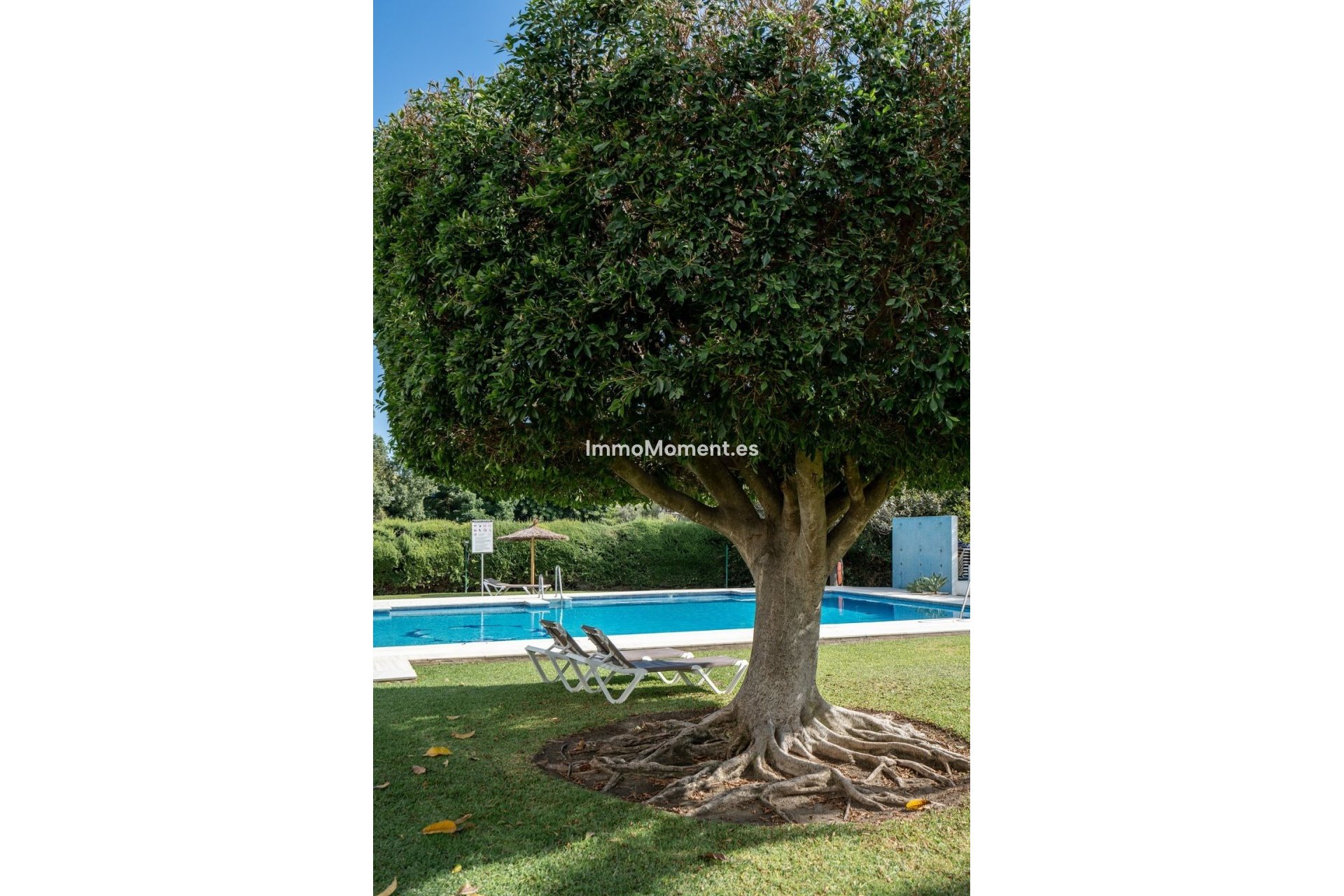 Wiederverkauf - Wohnung - Marbella - Guadalmina Alta