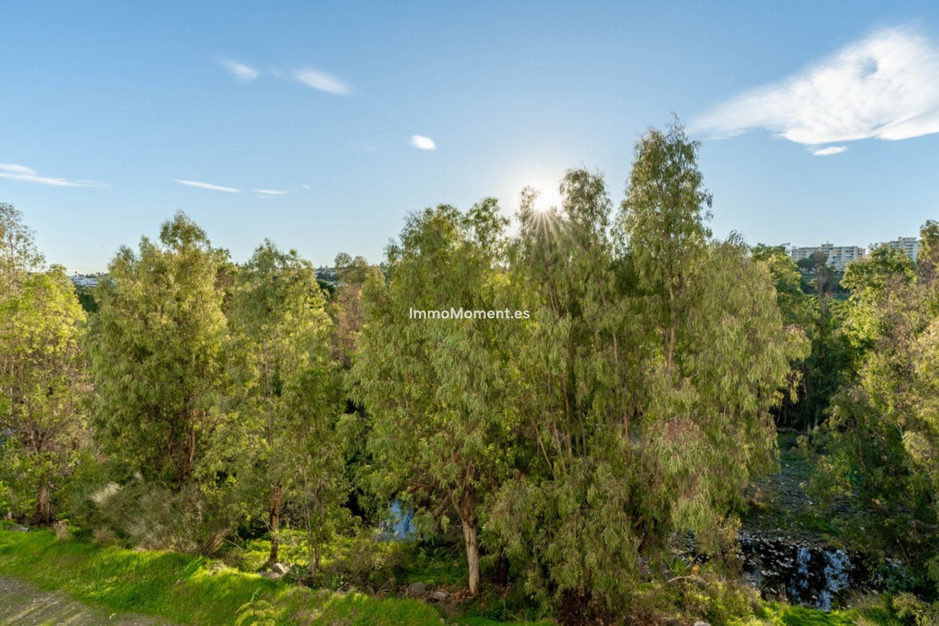 Wiederverkauf - Wohnung - Marbella - Guadalmina Alta