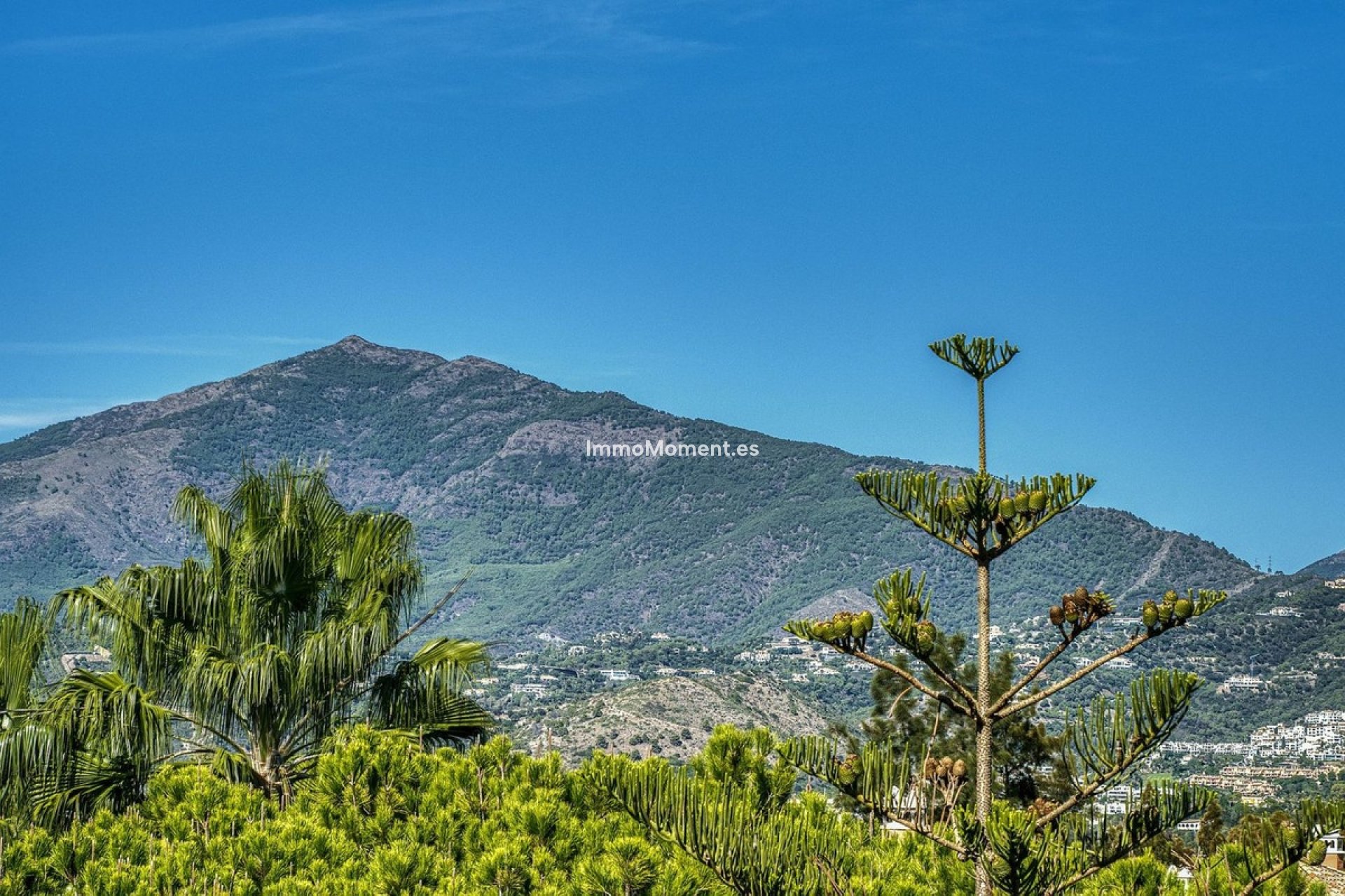 Wiederverkauf - Wohnung - Marbella - Guadalmina Baja