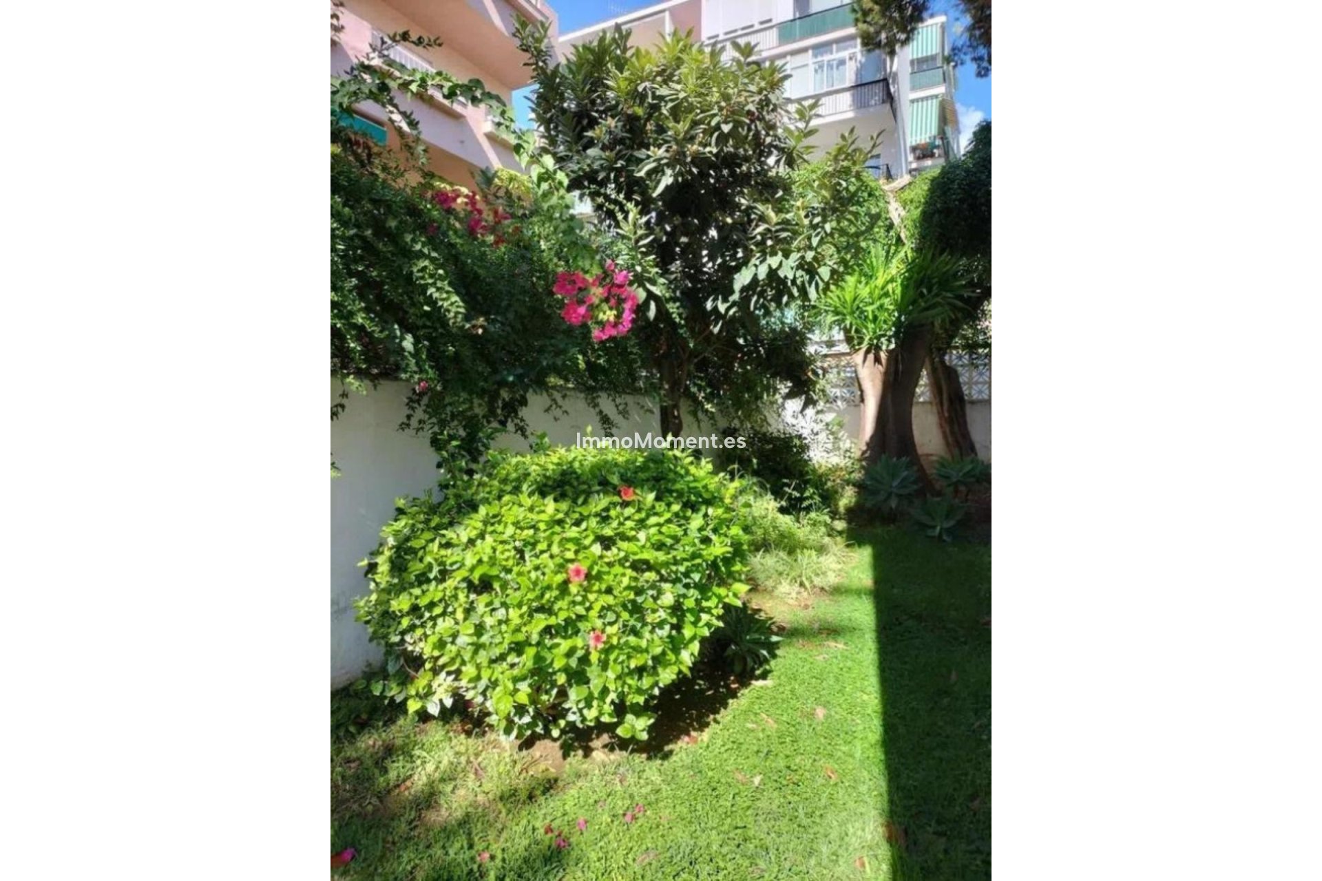 Wiederverkauf - Wohnung - Marbella - Marbella Centro