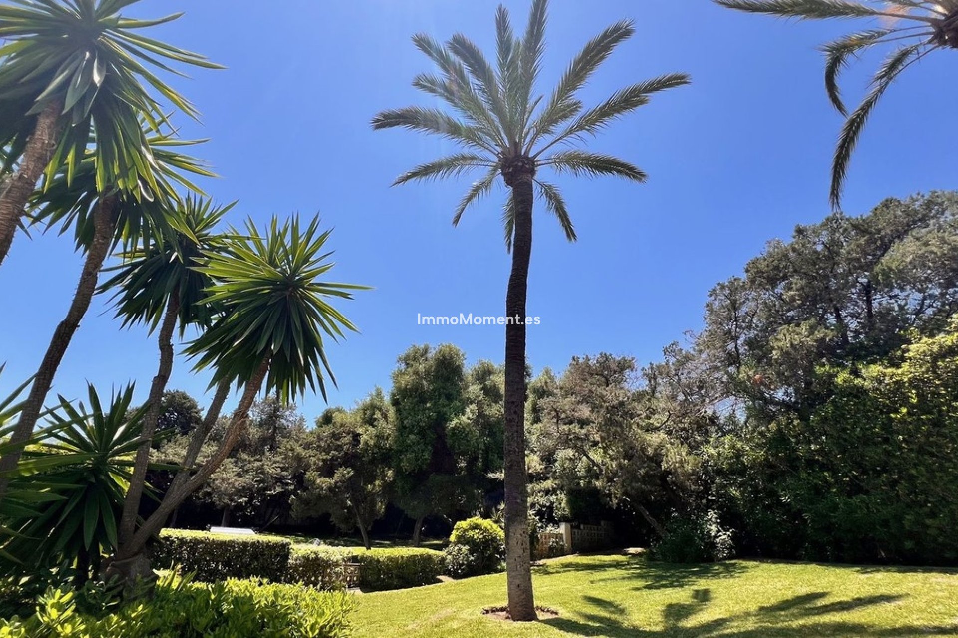 Wiederverkauf - Wohnung - Marbella - Marbesa