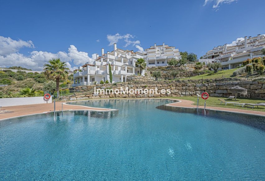 Wiederverkauf - Wohnung - Marbella - Nueva Andalucía