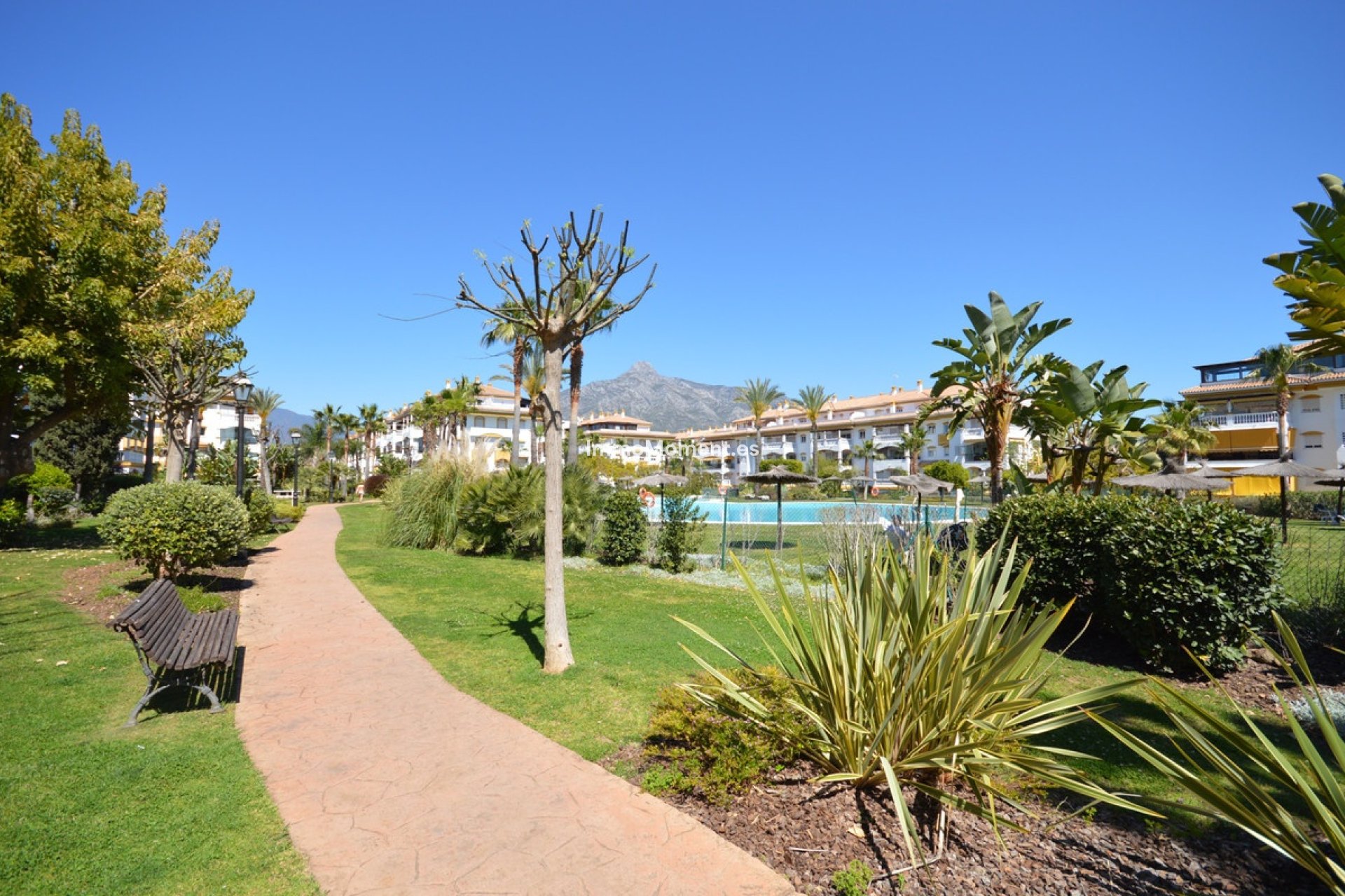 Wiederverkauf - Wohnung - Marbella - Nueva Andalucía