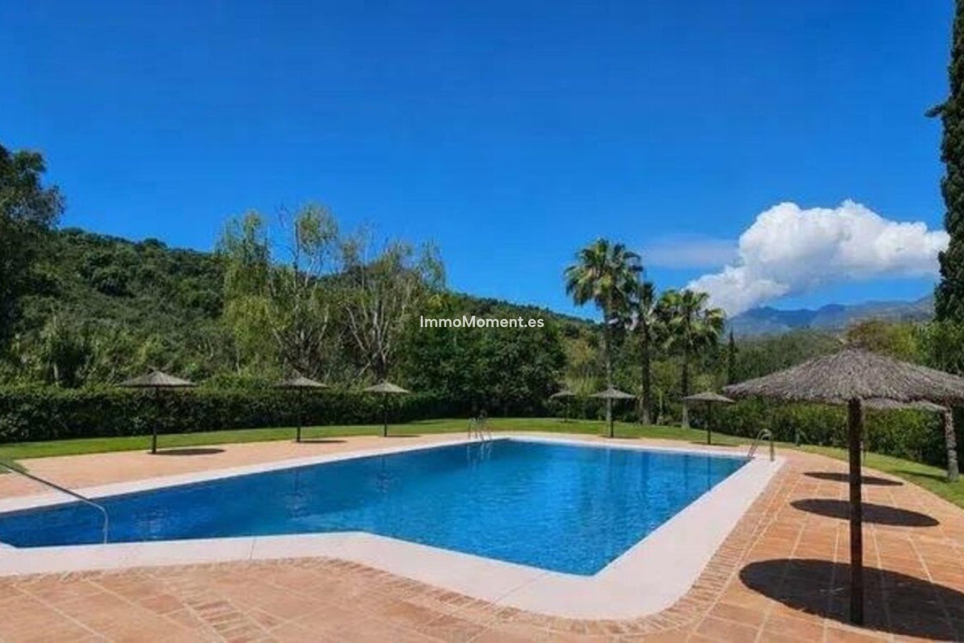 Wiederverkauf - Wohnung - Marbella - Río Real