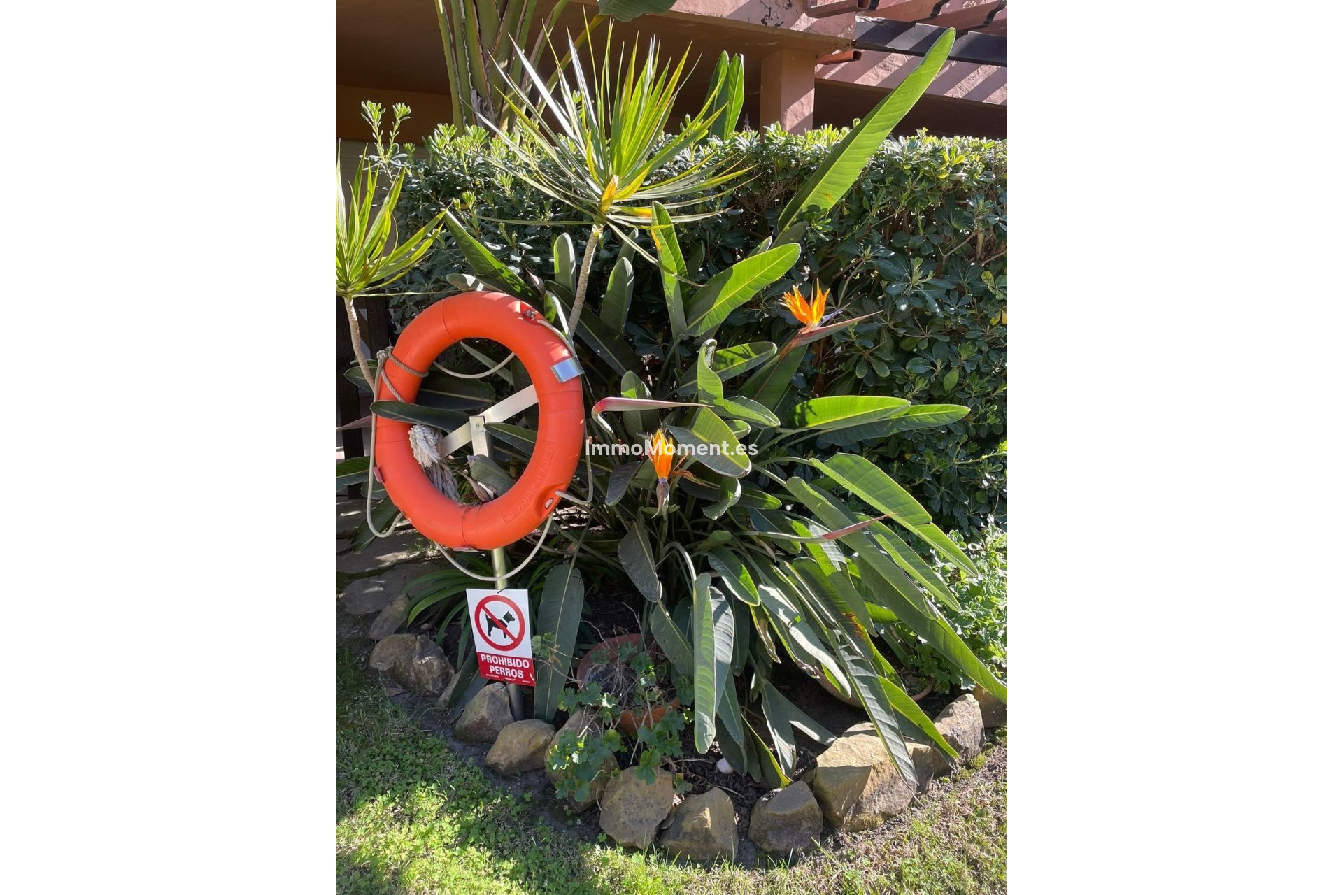 Wiederverkauf - Wohnung - Marbella - The Golden Mile