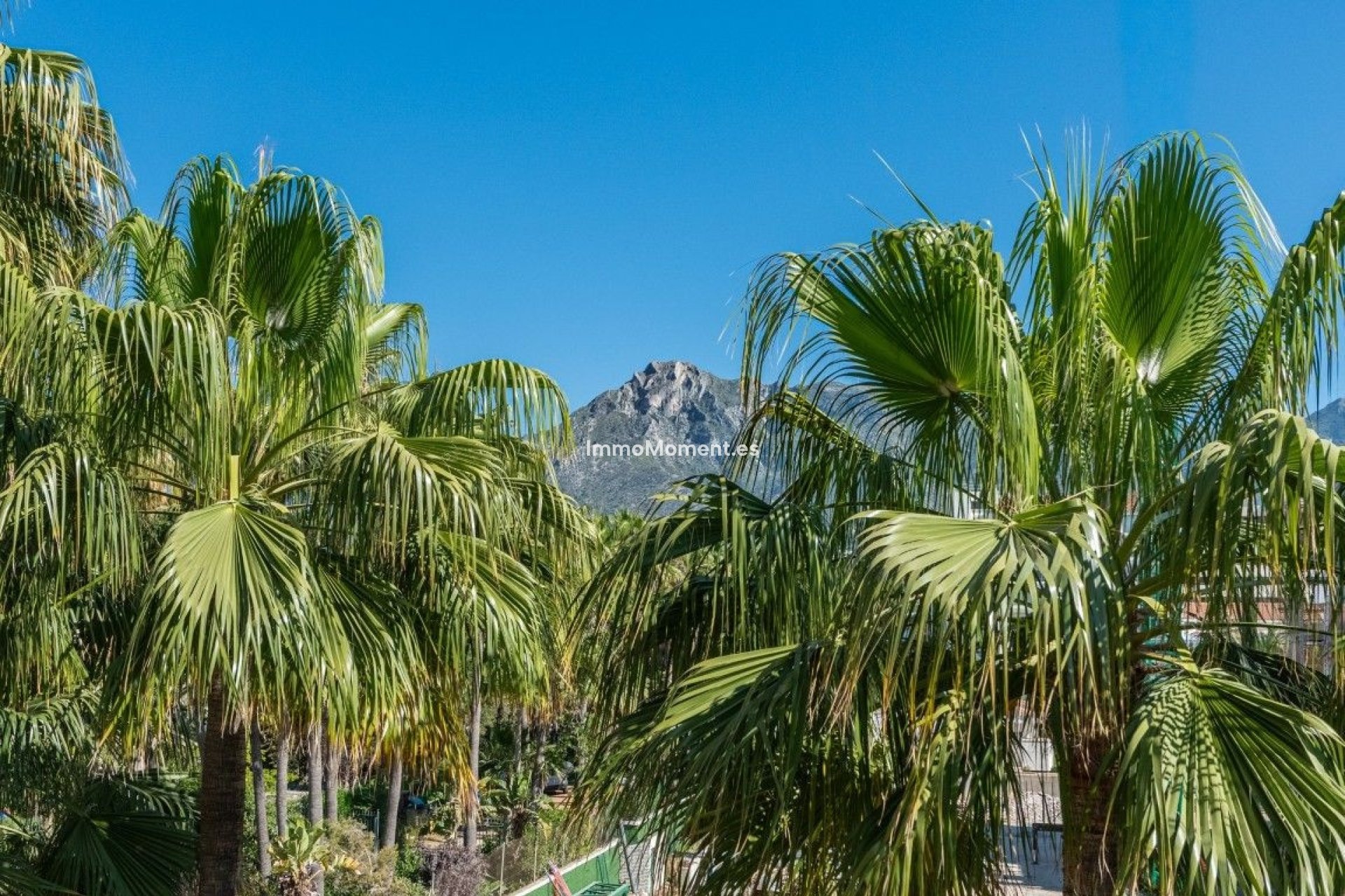 Wiederverkauf - Wohnung - Marbella - The Golden Mile