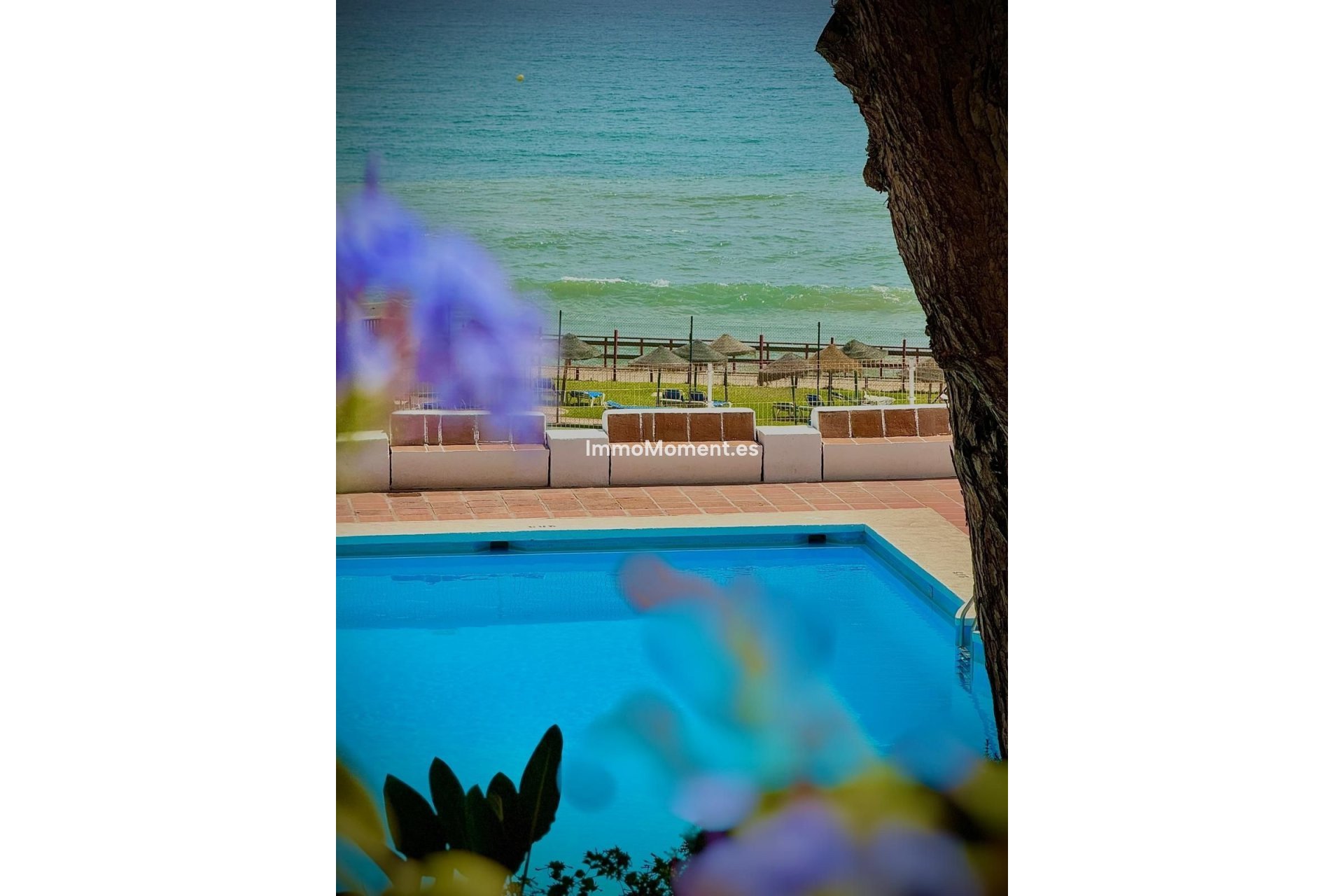 Wiederverkauf - Wohnung - Mijas - Calahonda